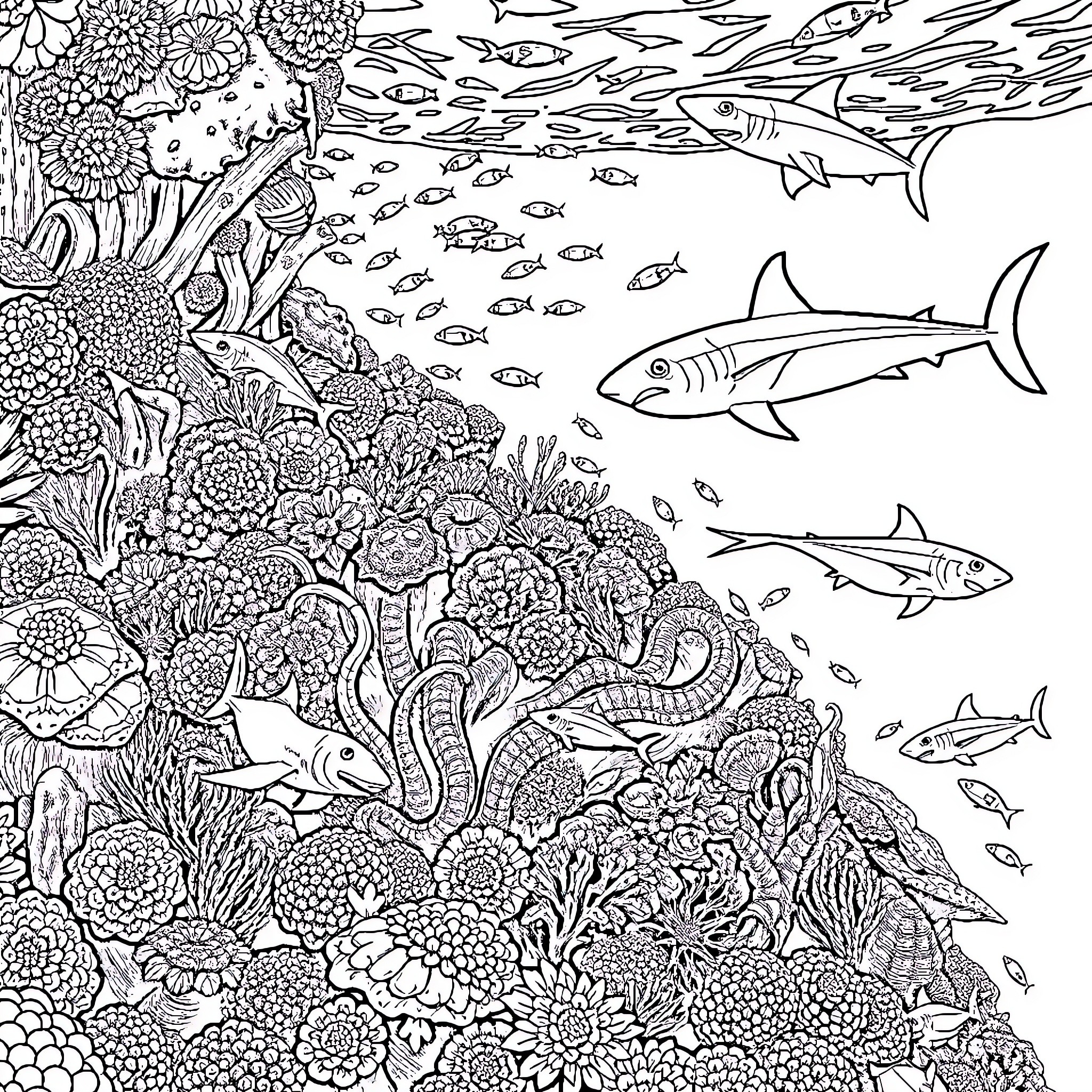Reef teeming with vibrant marine life Coloring Page (free black-and-white line drawing printable PDF for all, from beginners to advanced learners, including children, teens, adults, and seniors)