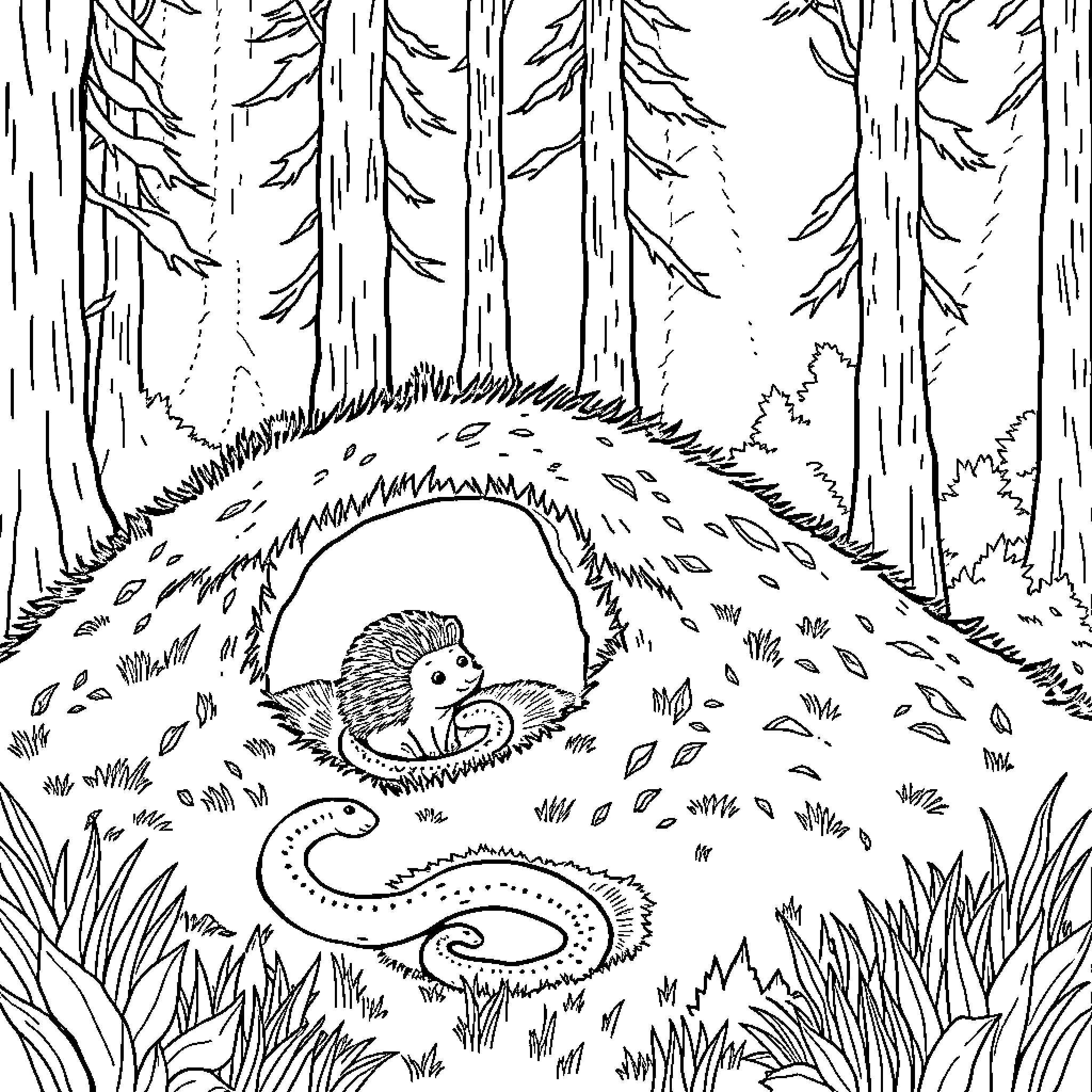 Hedgehog exploring the forest floor Coloring Page (free black-and-white line drawing printable PDF for all, from beginners to advanced learners, including children, teens, adults, and seniors)