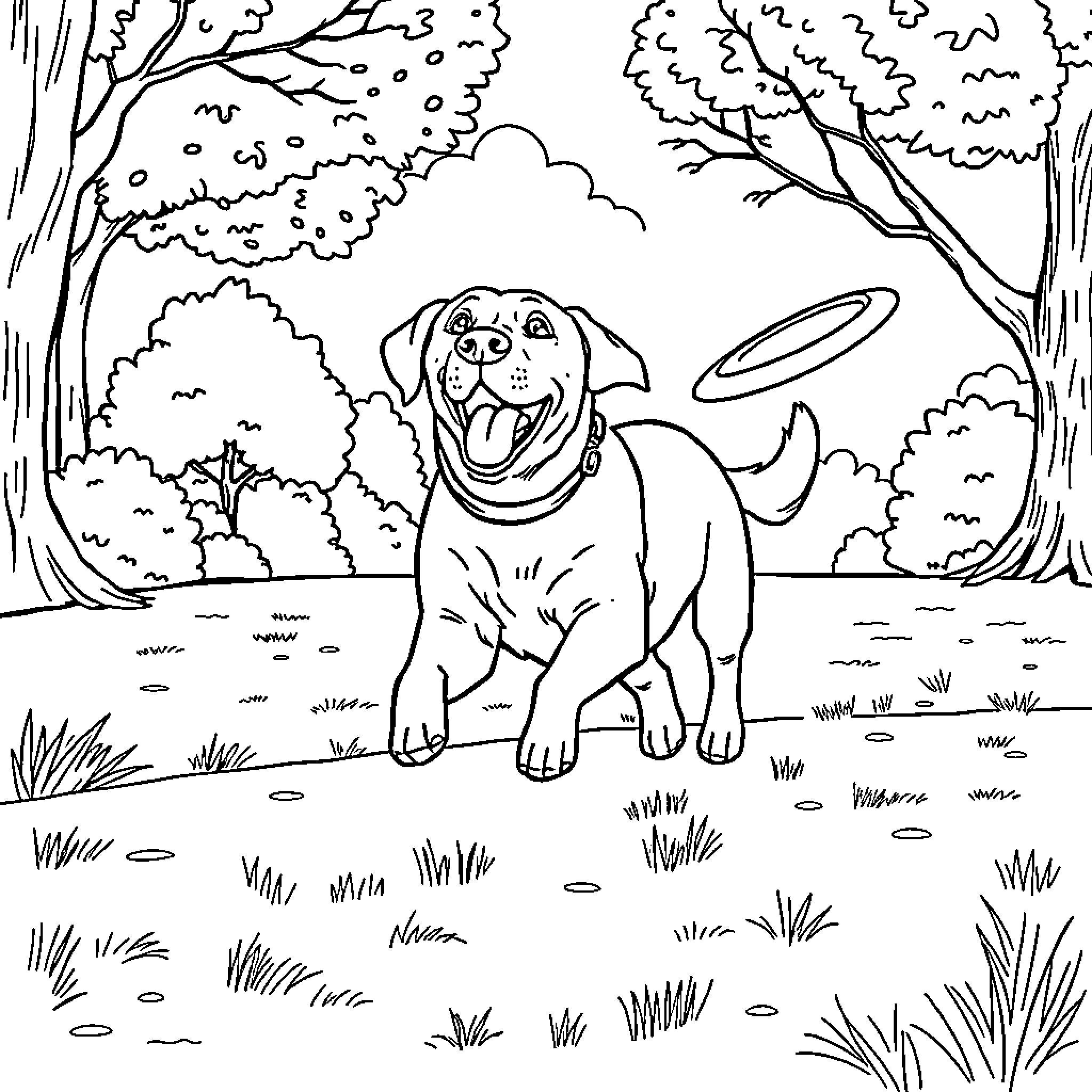 Labrador playing joyfully in the park Coloring Page (free black-and-white line drawing printable PDF for all, from beginners to advanced learners, including children, teens, adults, and seniors)