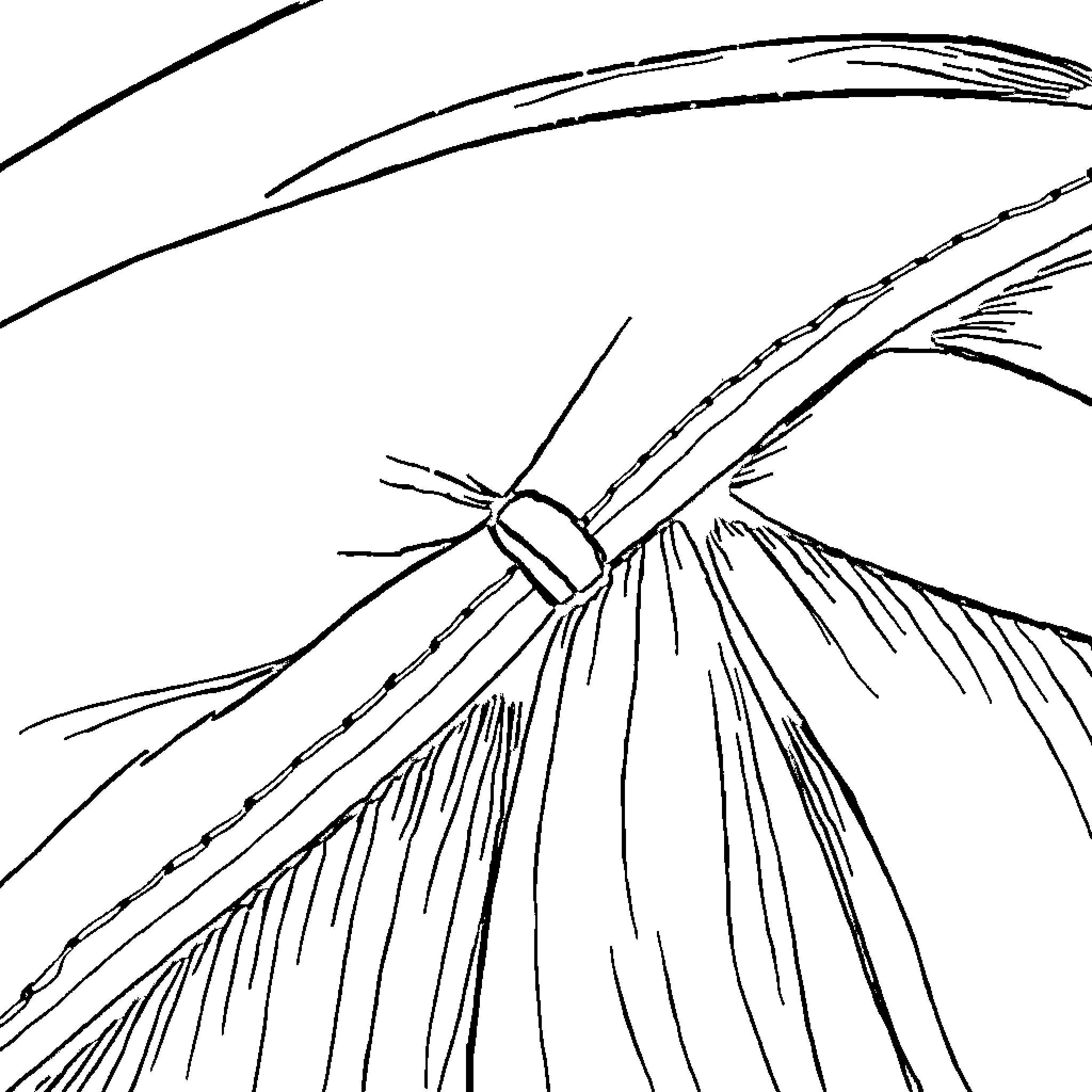Stitch flowing through the wind Coloring Page (free black-and-white line drawing printable PDF for all, from beginners to advanced learners, including children, teens, adults, and seniors)