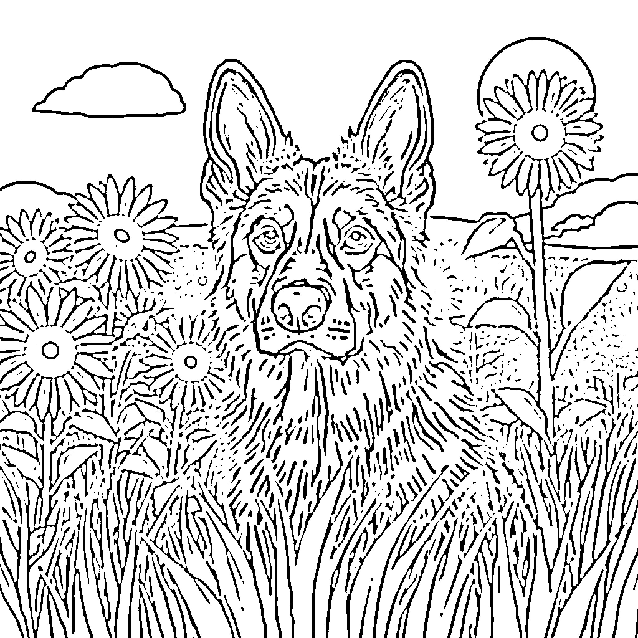 German Shepherd enjoying the flowers in the meadow Coloring Page (free black-and-white line drawing printable PDF for all, from beginners to advanced learners, including children, teens, adults, and seniors)