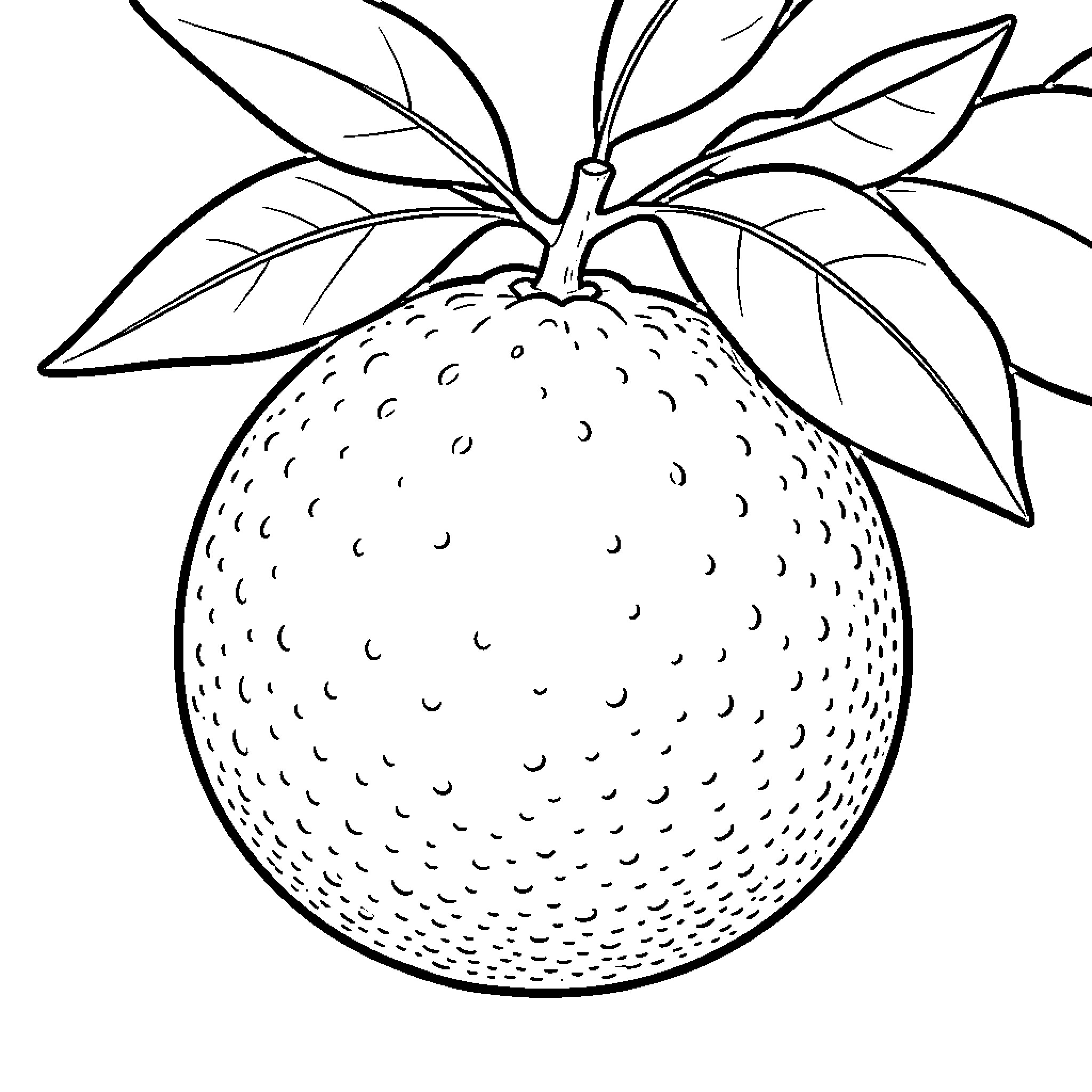 Orange hanging from a branch with lush leaves Coloring Page (free black-and-white line drawing printable PDF for all, from beginners to advanced learners, including children, teens, adults, and seniors)