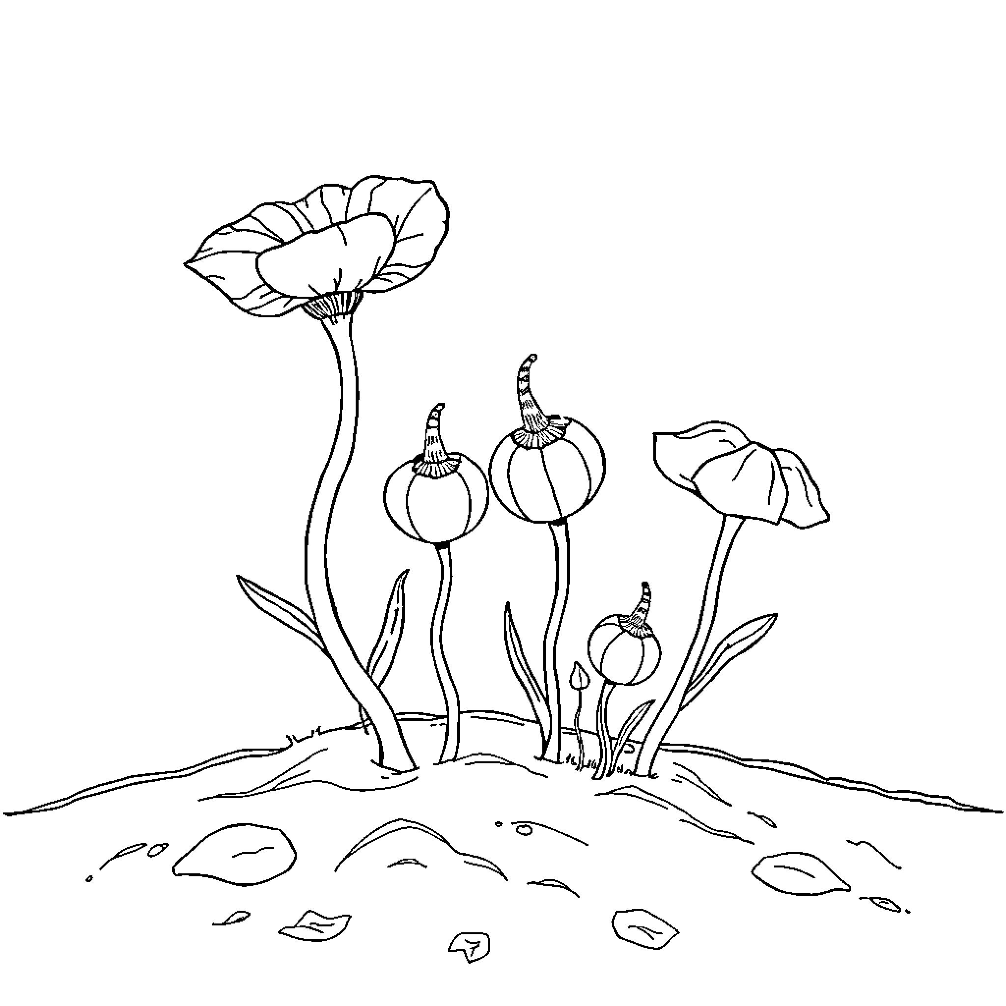 Mushroom flowers blooming on a rocky terrain Coloring Page (free black-and-white line drawing printable PDF for all, from beginners to advanced learners, including children, teens, adults, and seniors)