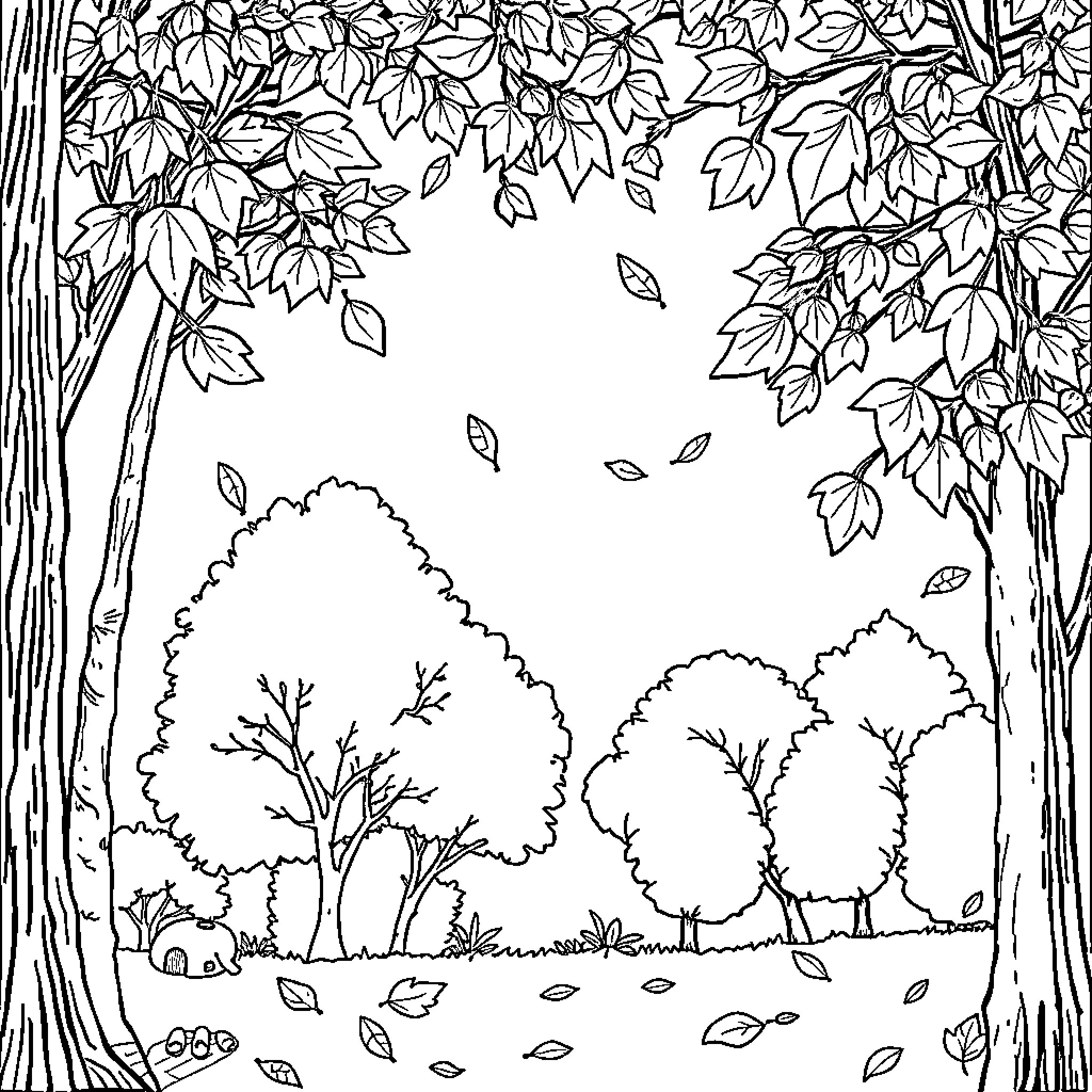 Fall Leaves Drifting Through Woodland Scenery Coloring Page (free black-and-white line drawing printable PDF for all, from beginners to advanced learners, including children, teens, adults, and seniors)