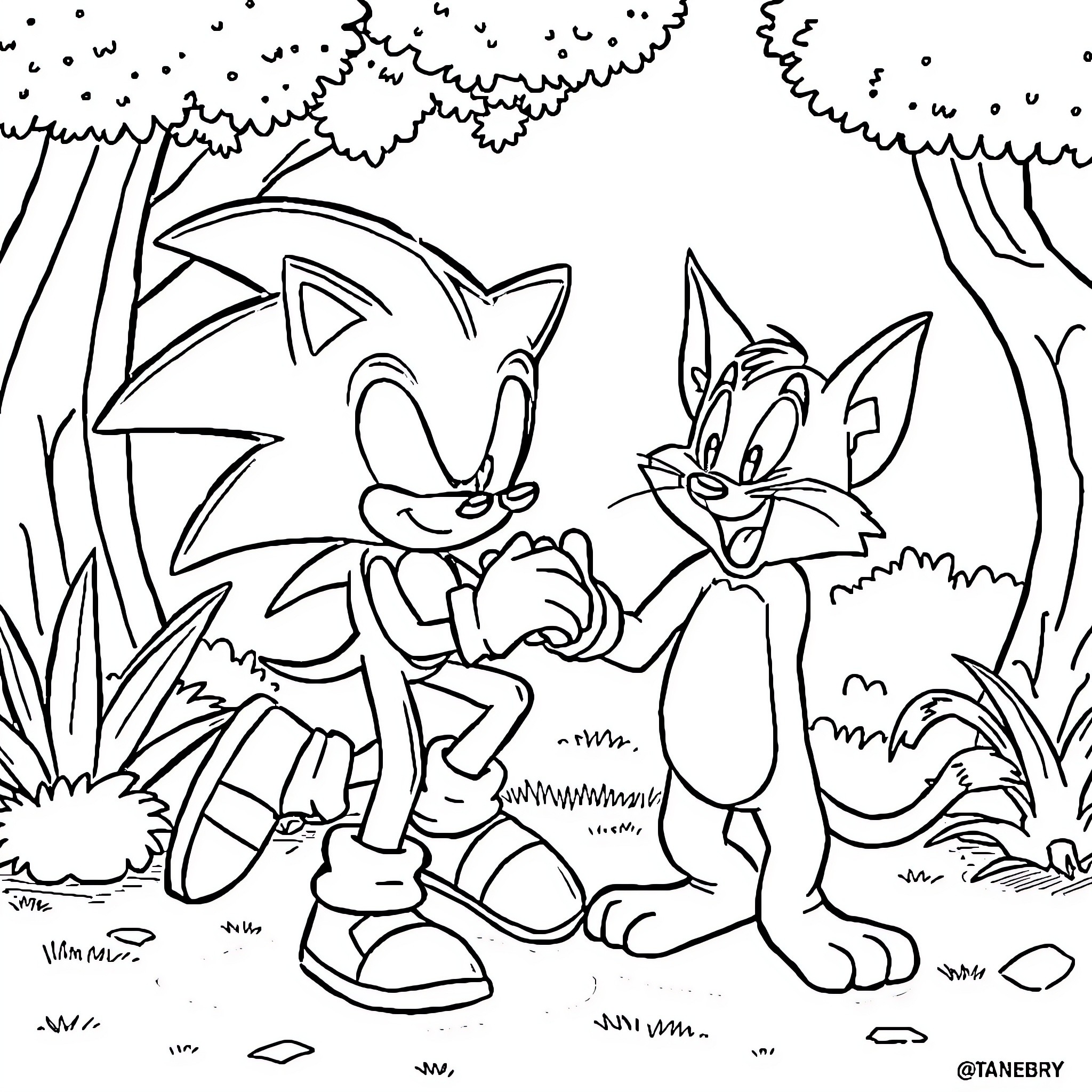 Sonic and Tails exploring the forest Coloring Page (free black-and-white line drawing printable PDF for all, from beginners to advanced learners, including children, teens, adults, and seniors)