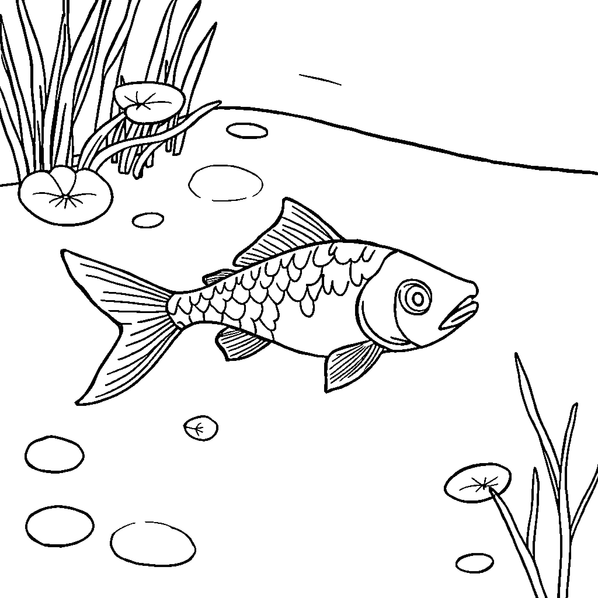 Fish swimming in underwater pond Coloring Page (free black-and-white line drawing printable PDF for all, from beginners to advanced learners, including children, teens, adults, and seniors)