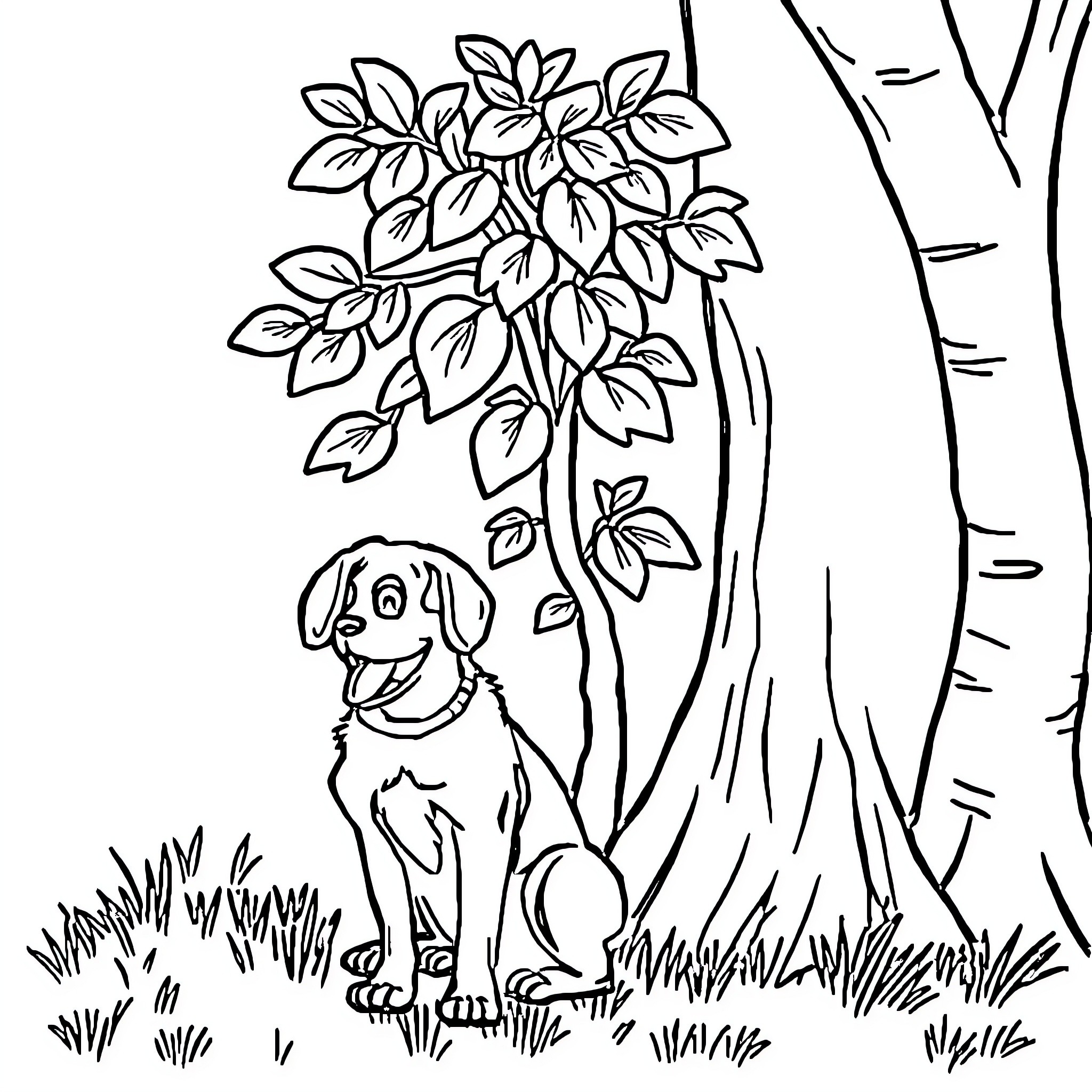 Dog enjoying nature under a tree Coloring Page (free black-and-white line drawing printable PDF for all, from beginners to advanced learners, including children, teens, adults, and seniors)