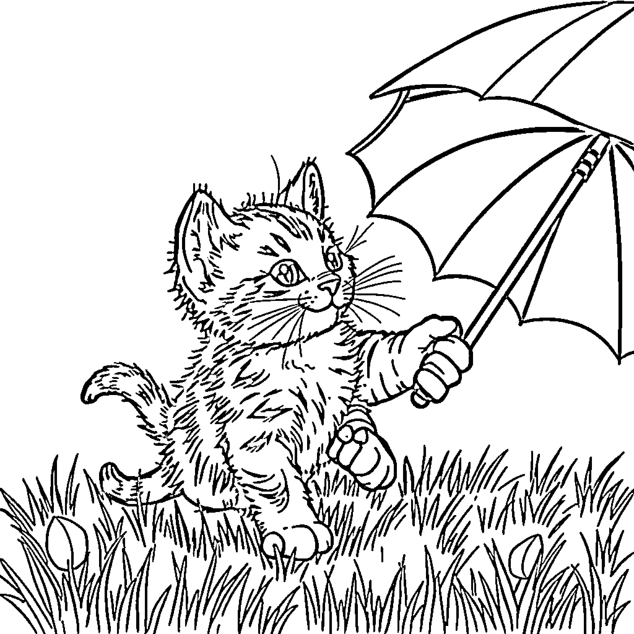 Kitten playing with colorful umbrella in the grass Coloring Page (free black-and-white line drawing printable PDF for all, from beginners to advanced learners, including children, teens, adults, and seniors)