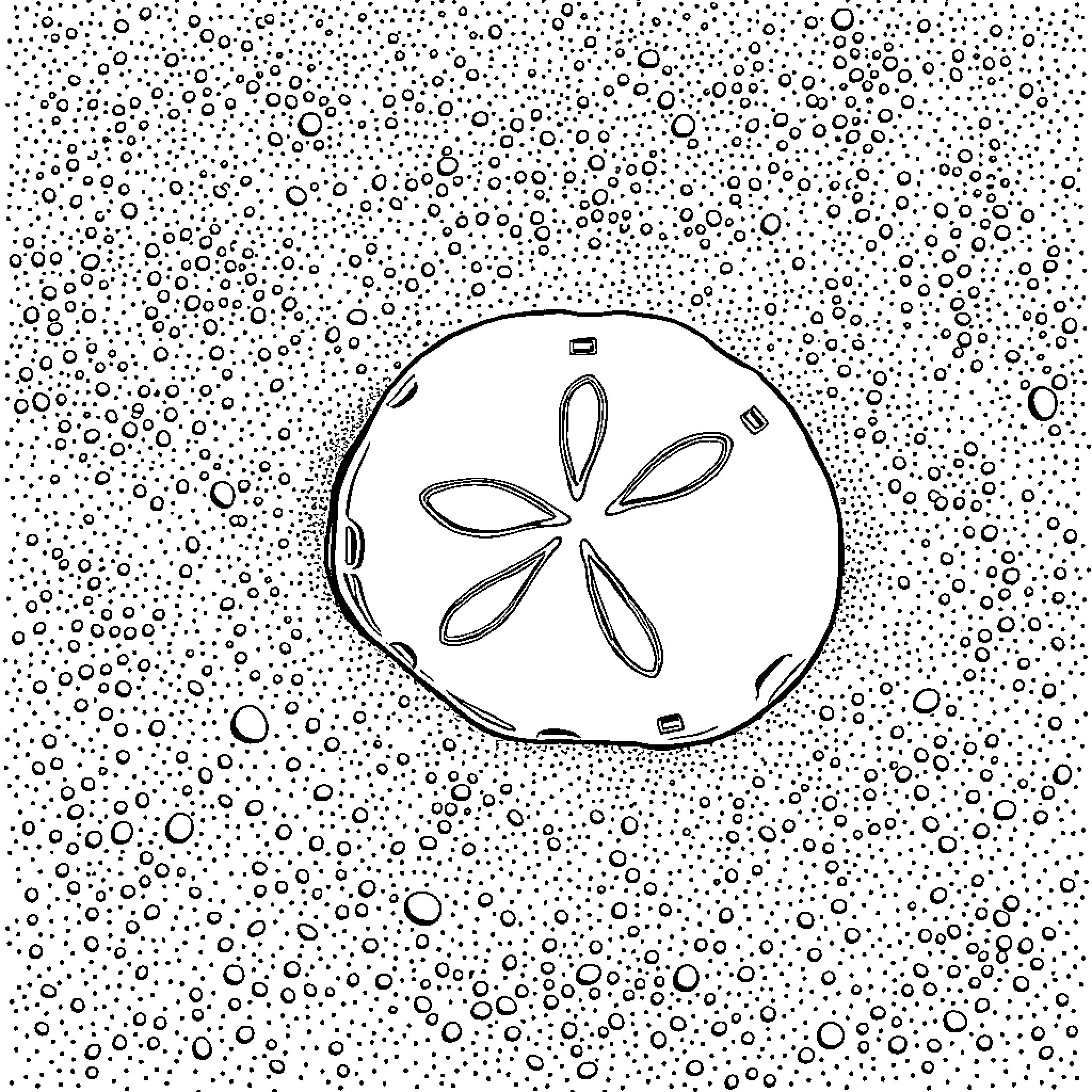 Sand Dollar in Bubbly Seascape Coloring Page (free black-and-white line drawing printable PDF for all, from beginners to advanced learners, including children, teens, adults, and seniors)
