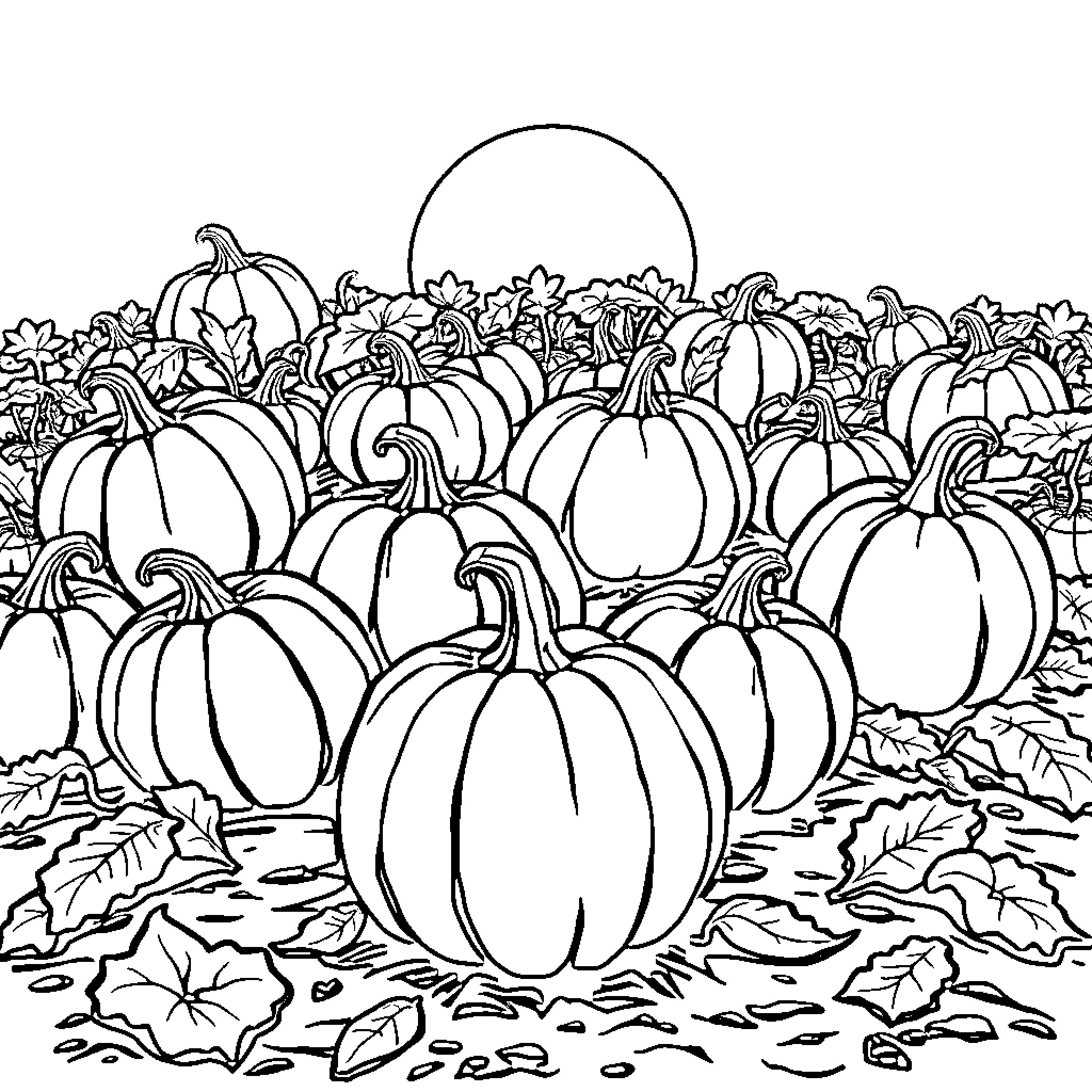 Pumpkin patch with autumn leaves and foliage Coloring Page (free black-and-white line drawing printable PDF for all, from beginners to advanced learners, including children, teens, adults, and seniors)