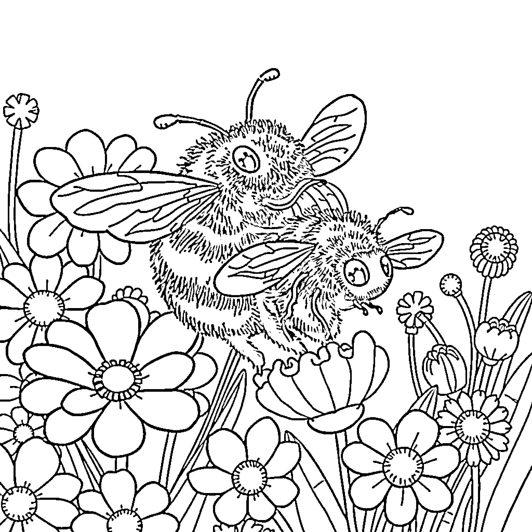 Bumblebees among vibrant flowers Coloring Page (free black-and-white line drawing printable PDF for all, from beginners to advanced learners, including children, teens, adults, and seniors)