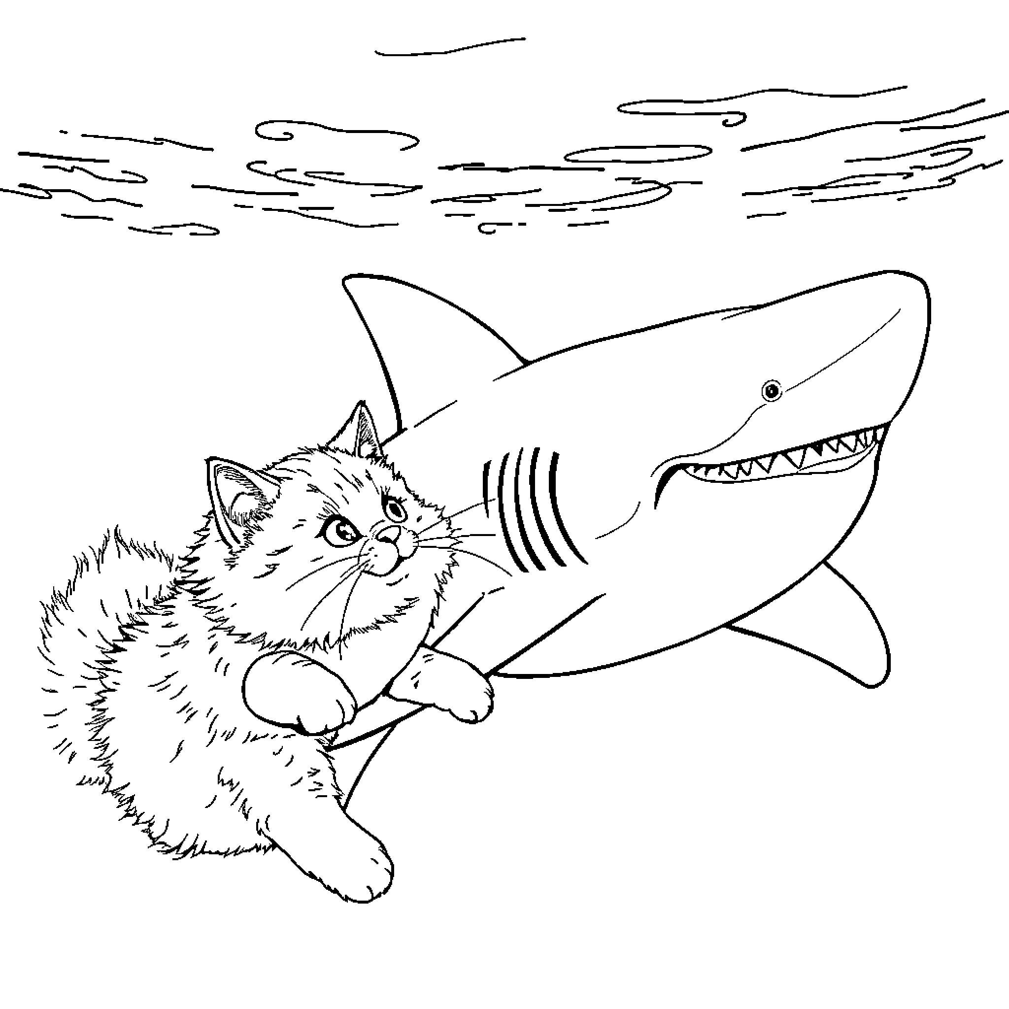 Cat vs Shark - Playful Confrontation Coloring Page (free black-and-white line drawing printable PDF for all, from beginners to advanced learners, including children, teens, adults, and seniors)