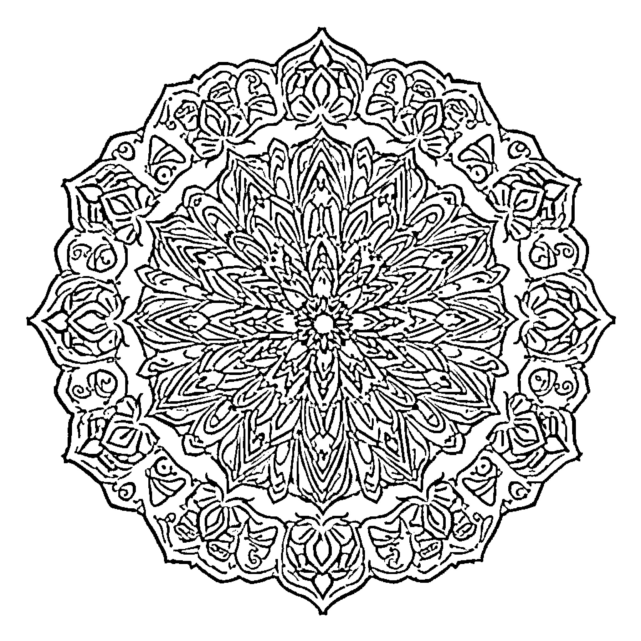 Mandala with Intricate Floral Patterns Coloring Page (free black-and-white line drawing printable PDF for all, from beginners to advanced learners, including children, teens, adults, and seniors)
