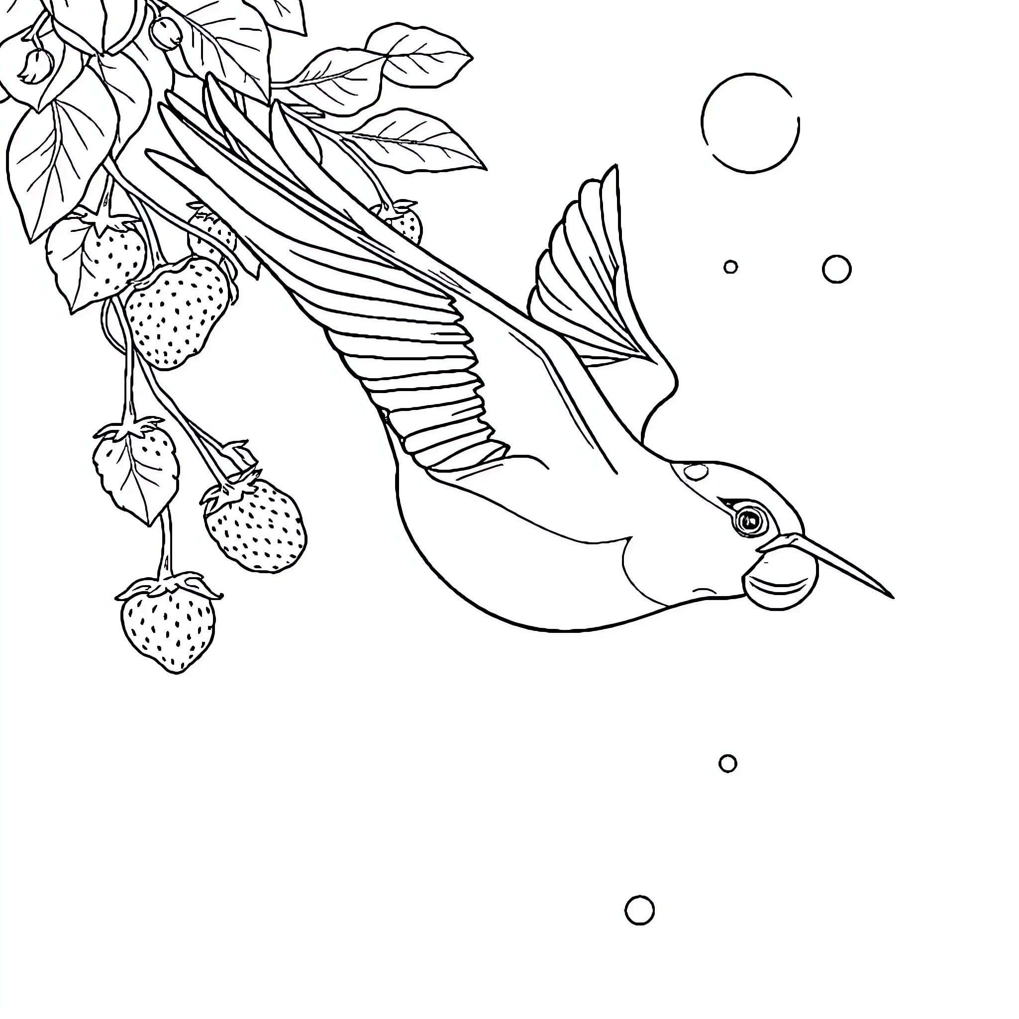 Avión de pájaro volando entre hojas y fresas Coloring Page (free black-and-white line drawing printable PDF for all, from beginners to advanced learners, including children, teens, adults, and seniors)
