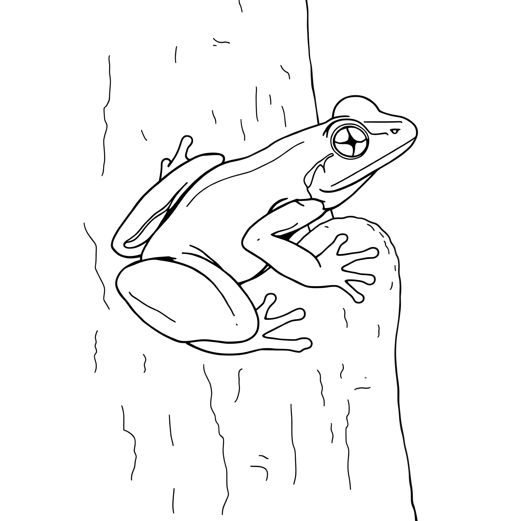 Frog perching on a tree branch Coloring Page (free black-and-white line drawing printable PDF for all, from beginners to advanced learners, including children, teens, adults, and seniors)