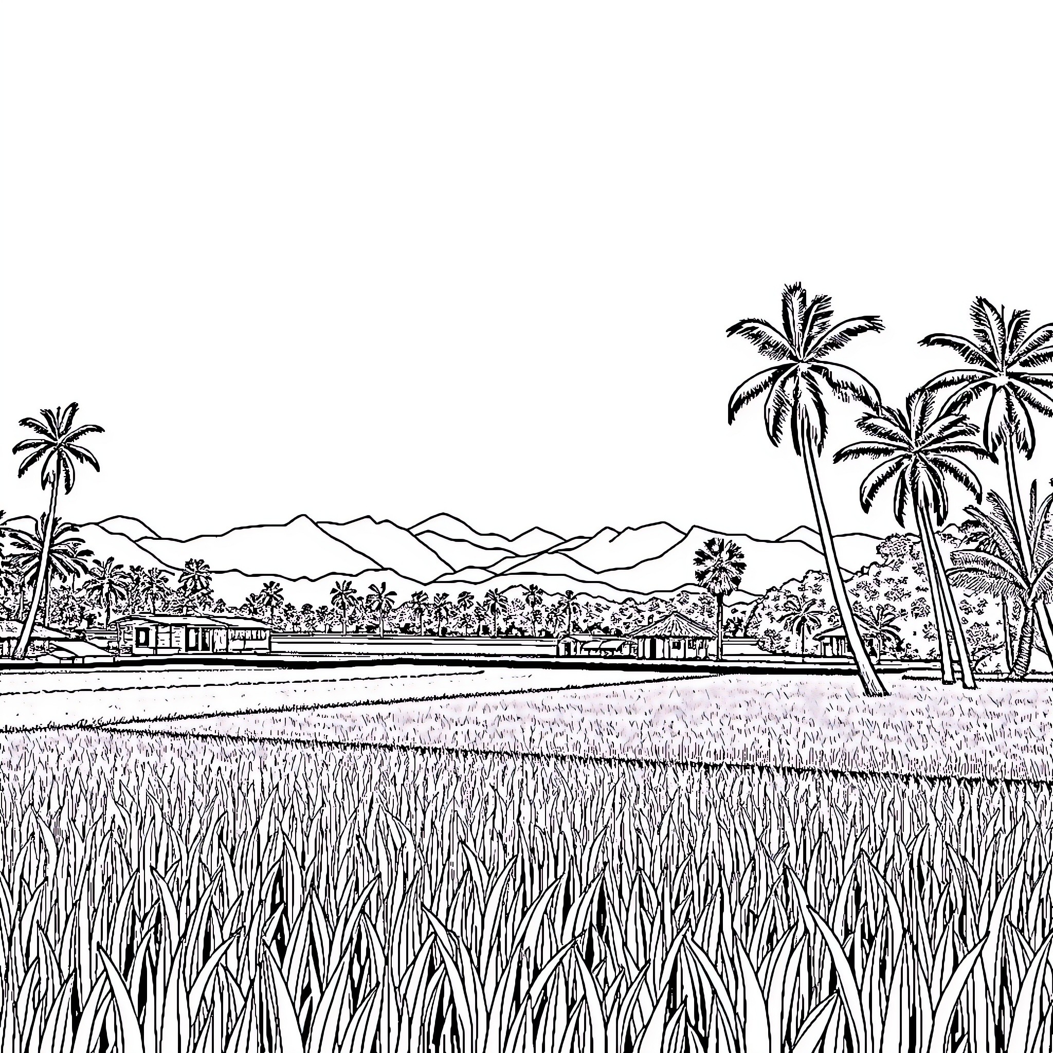 Cambodia Landscape with Palms and Rice Fields Coloring Page (free black-and-white line drawing printable PDF for all, from beginners to advanced learners, including children, teens, adults, and seniors)