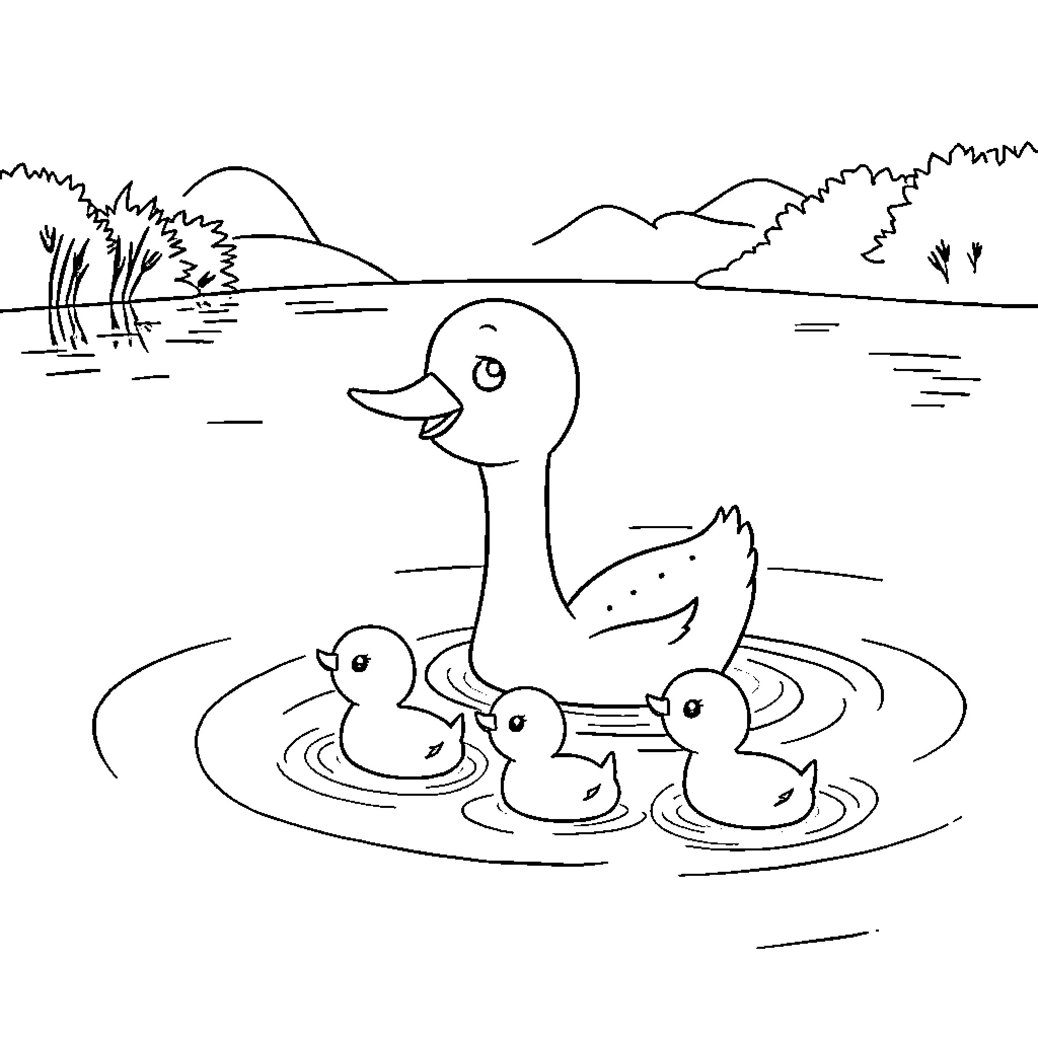 Mama Duck and Ducklings Explore the Pond Coloring Page (free black-and-white line drawing printable PDF for all, from beginners to advanced learners, including children, teens, adults, and seniors)