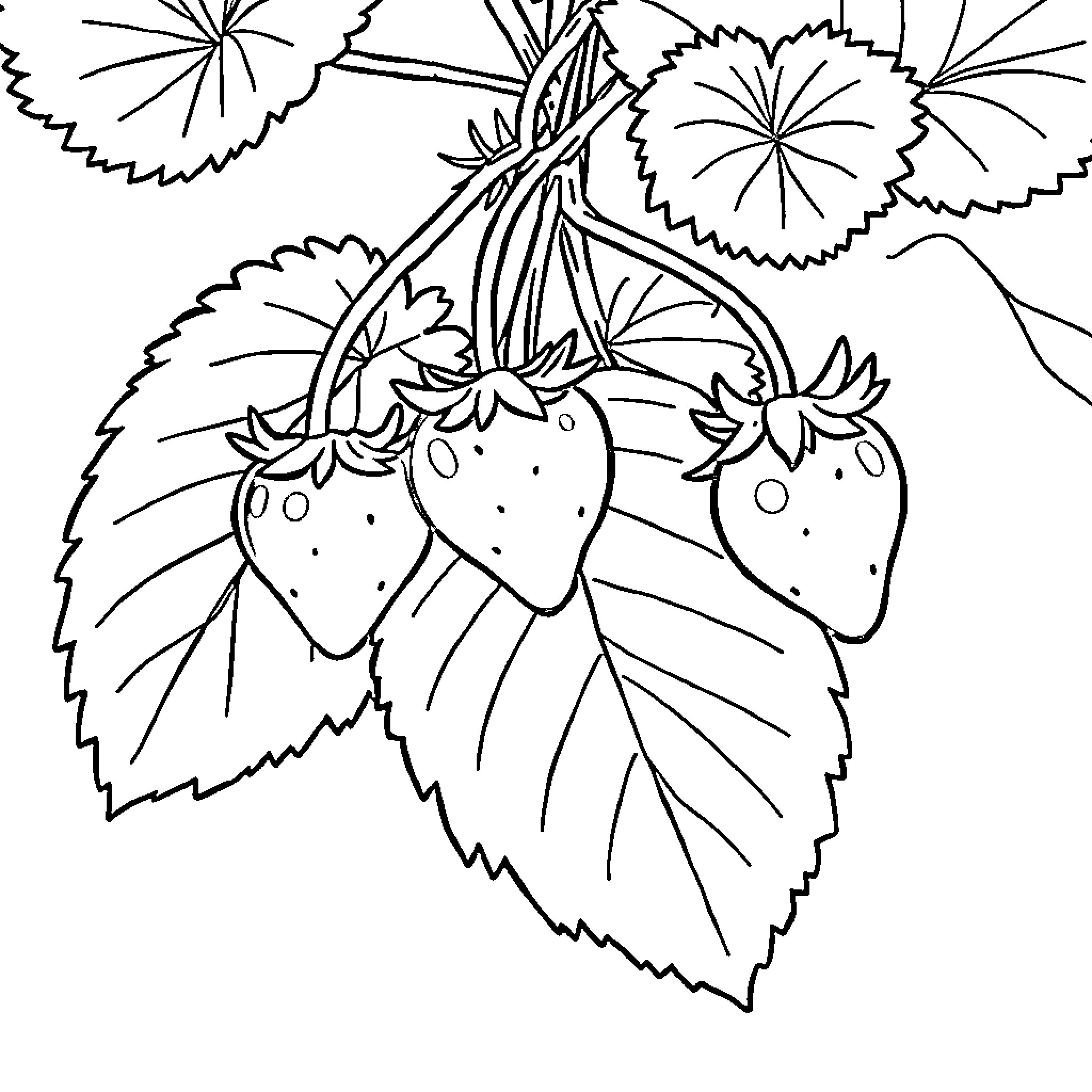 Strawberry leaves and flowers in black and white Coloring Page (free black-and-white line drawing printable PDF for all, from beginners to advanced learners, including children, teens, adults, and seniors)