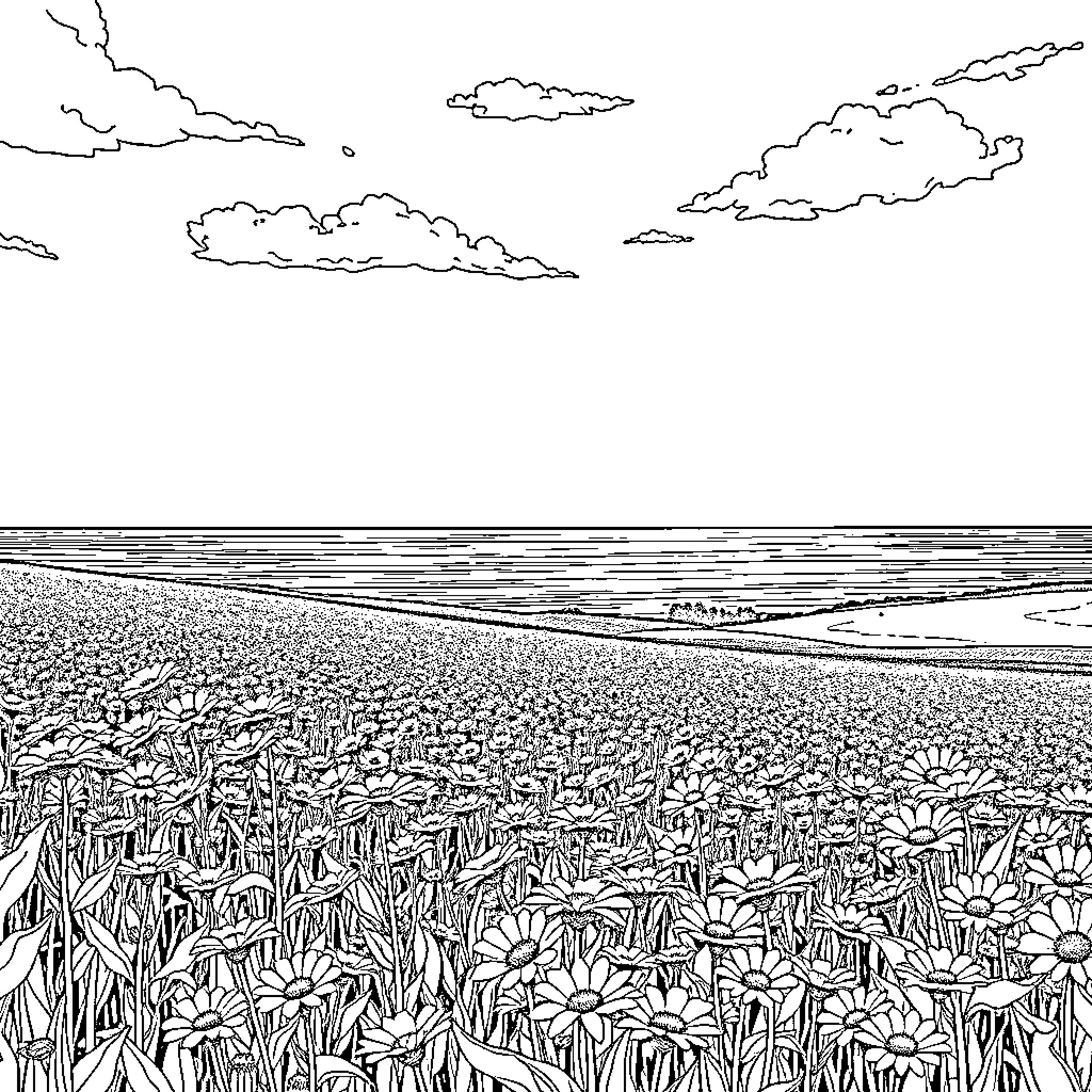 Landscape with Blooming Wildflowers and Cloudy Skies Coloring Page (free black-and-white line drawing printable PDF for all, from beginners to advanced learners, including children, teens, adults, and seniors)