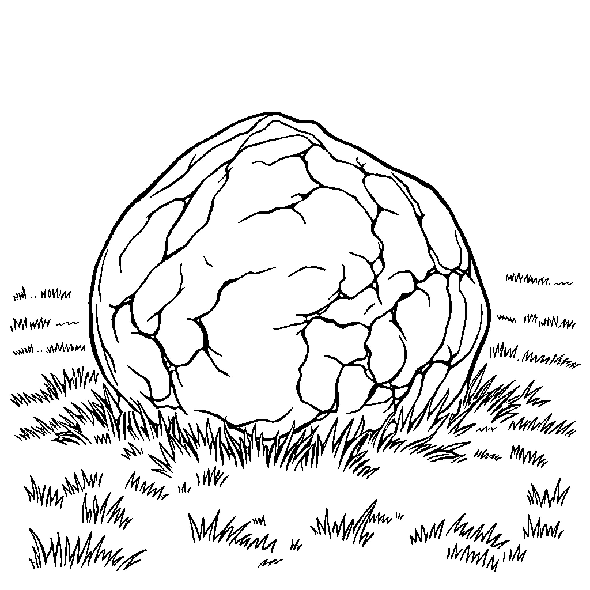 Pebble resting in the grassy field Coloring Page (free black-and-white line drawing printable PDF for all, from beginners to advanced learners, including children, teens, adults, and seniors)