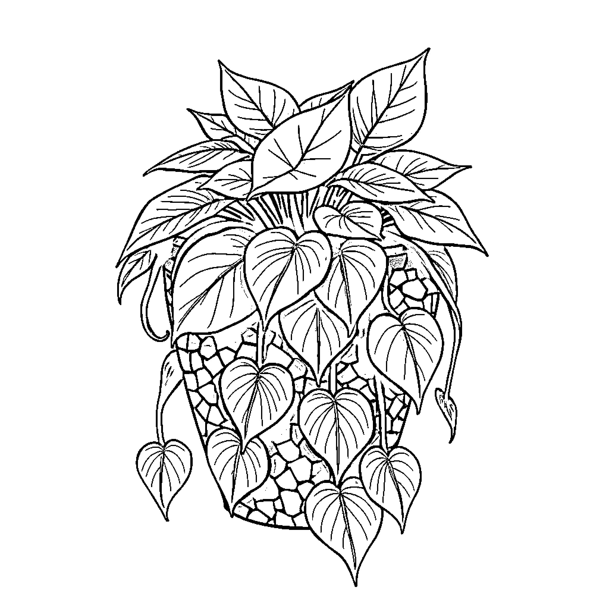 Plant with intricate foliage and flowers Coloring Page (free black-and-white line drawing printable PDF for all, from beginners to advanced learners, including children, teens, adults, and seniors)