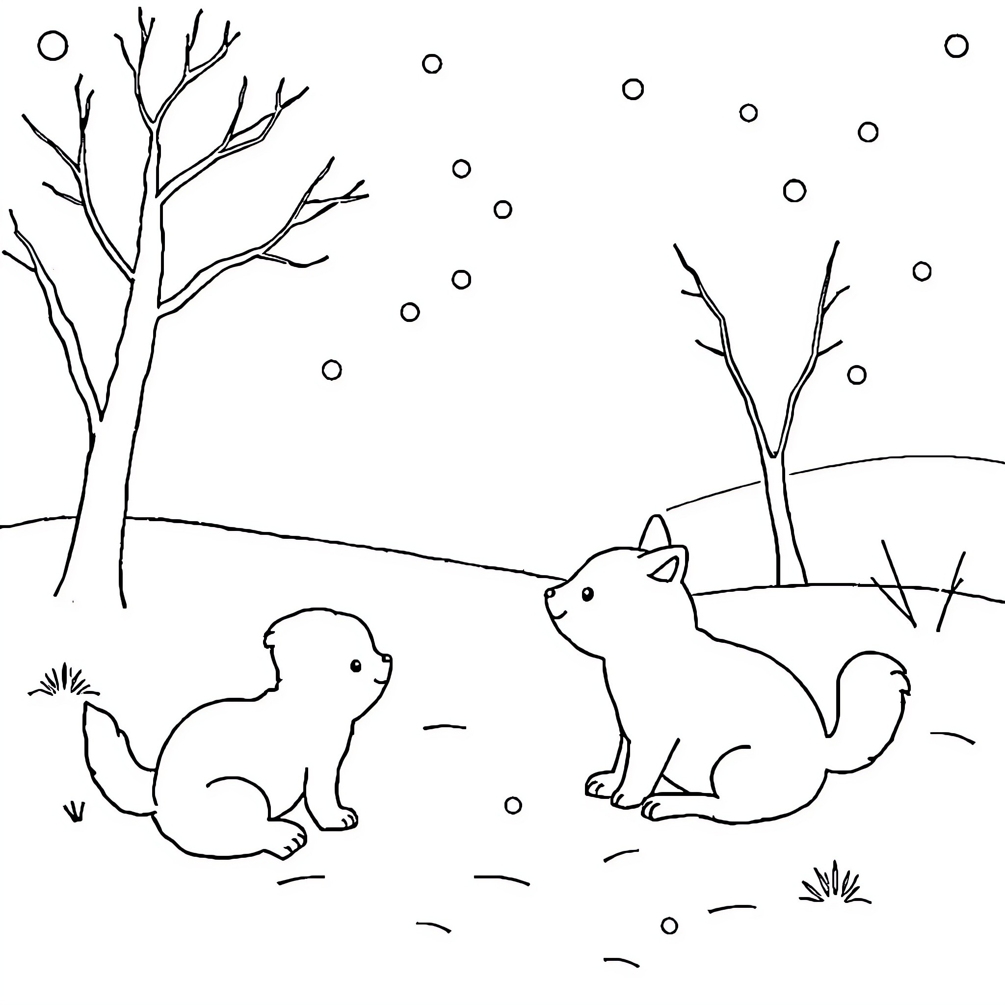 Animal duo playing in snowy landscape Coloring Page (free black-and-white line drawing printable PDF for all, from beginners to advanced learners, including children, teens, adults, and seniors)
