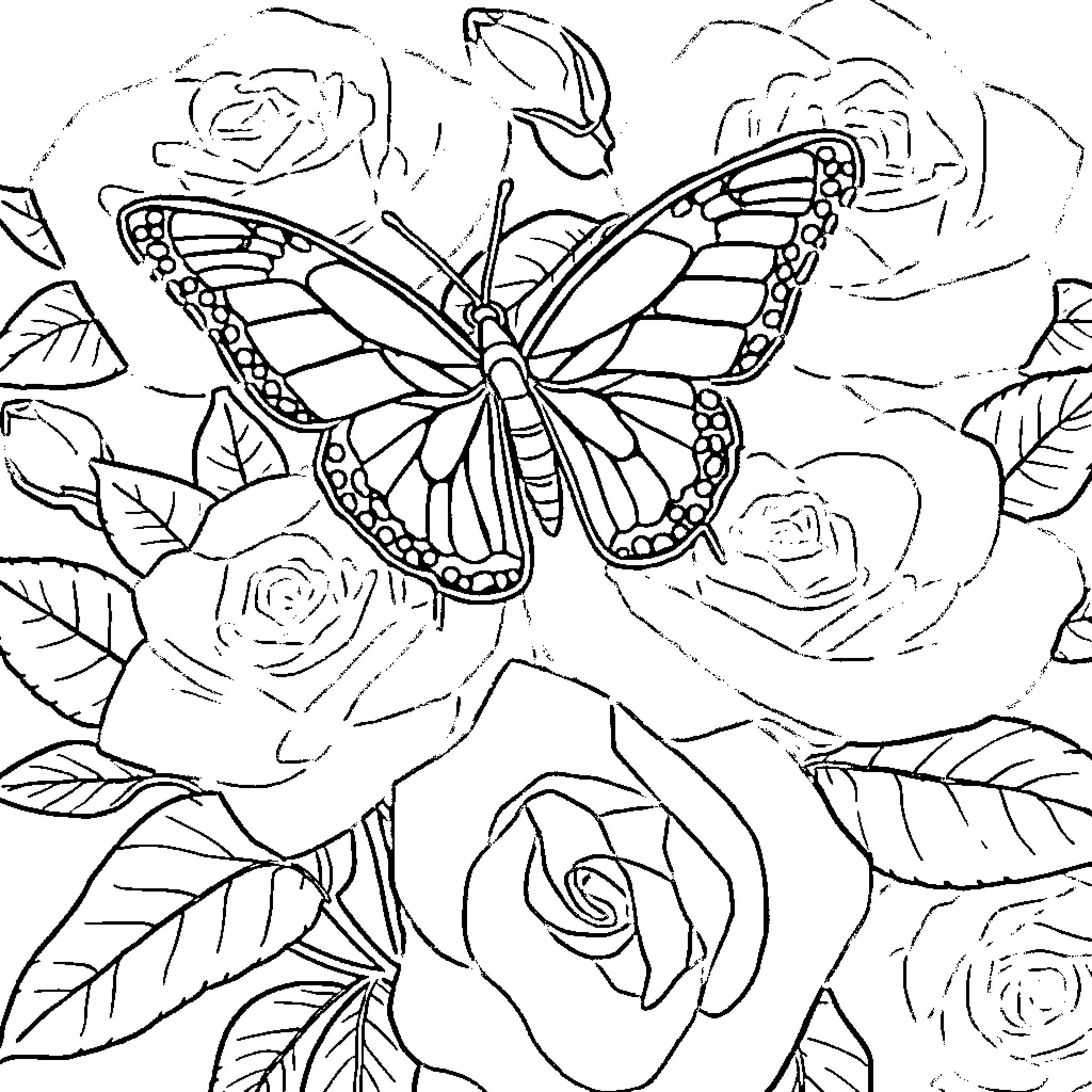 Butterfly dancing among colorful roses Coloring Page (free black-and-white line drawing printable PDF for all, from beginners to advanced learners, including children, teens, adults, and seniors)