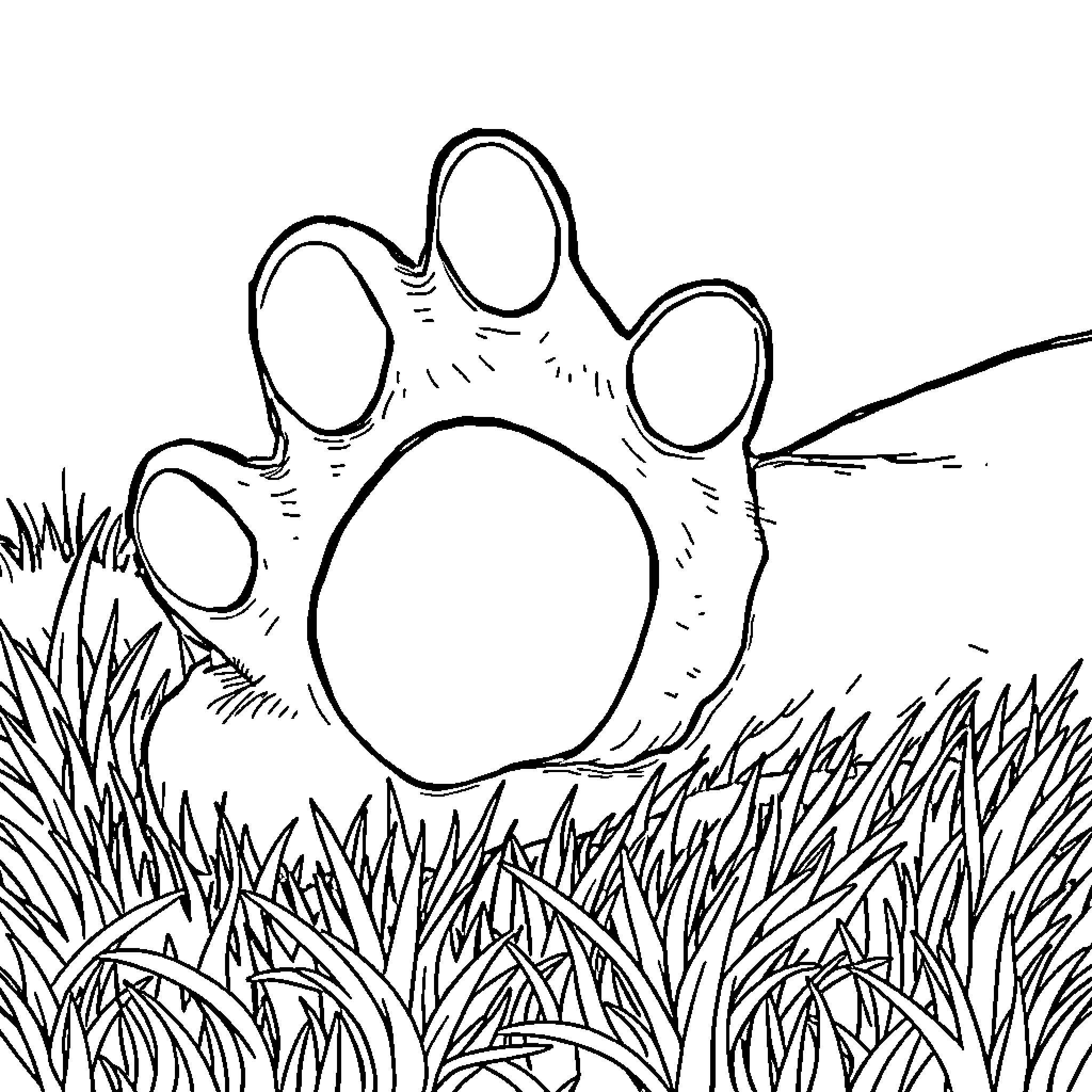 Paw prints in the grassy field Coloring Page (free black-and-white line drawing printable PDF for all, from beginners to advanced learners, including children, teens, adults, and seniors)