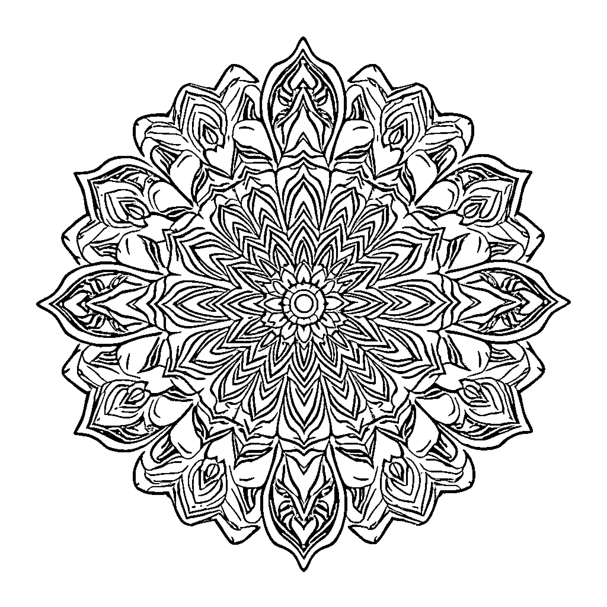 Mandala with intricate floral designs Coloring Page (free black-and-white line drawing printable PDF for all, from beginners to advanced learners, including children, teens, adults, and seniors)