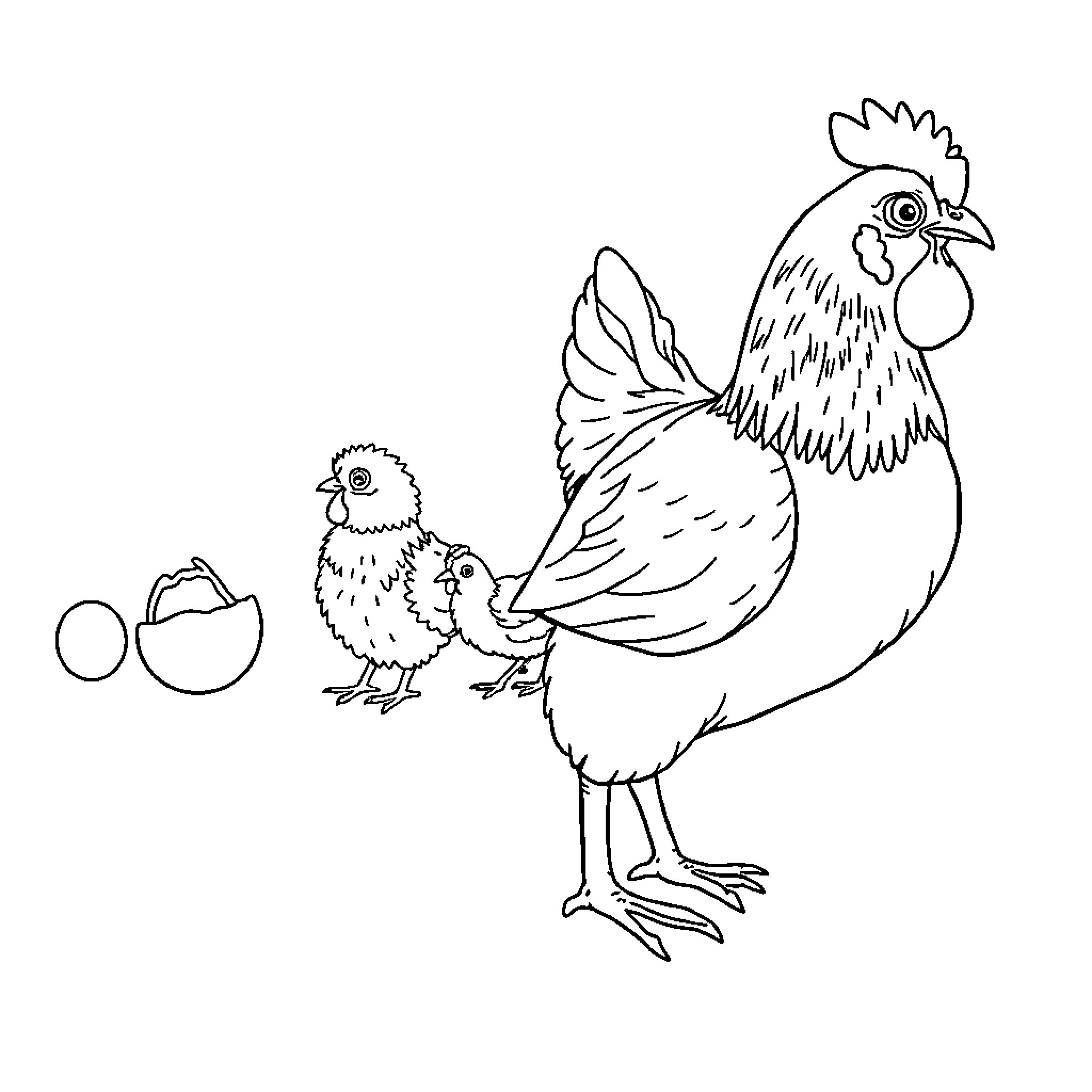 Chicken Protecting Hatchlings in Nest Coloring Page (free black-and-white line drawing printable PDF for all, from beginners to advanced learners, including children, teens, adults, and seniors)