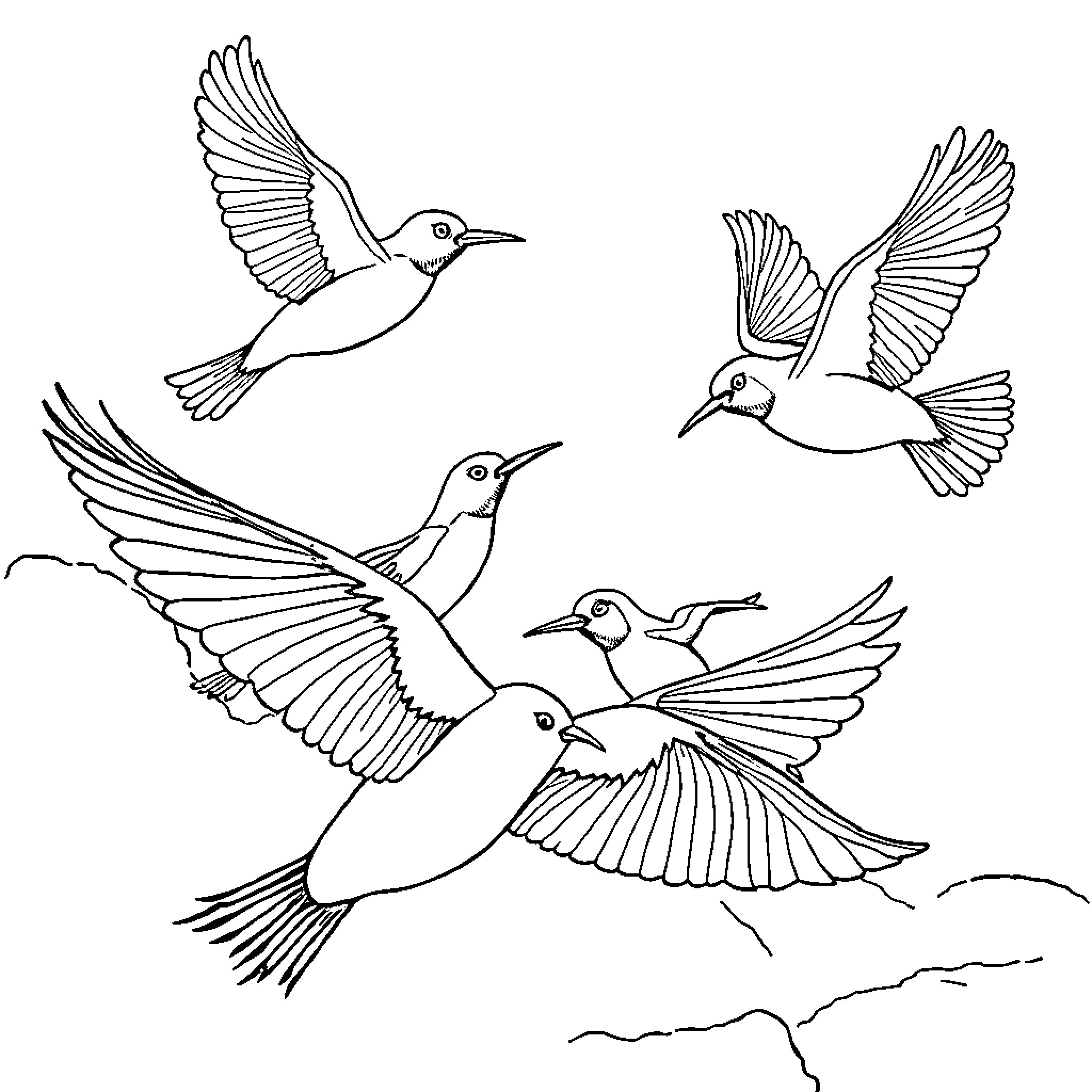 Birds in flight with outstretched wings Coloring Page (free black-and-white line drawing printable PDF for all, from beginners to advanced learners, including children, teens, adults, and seniors)