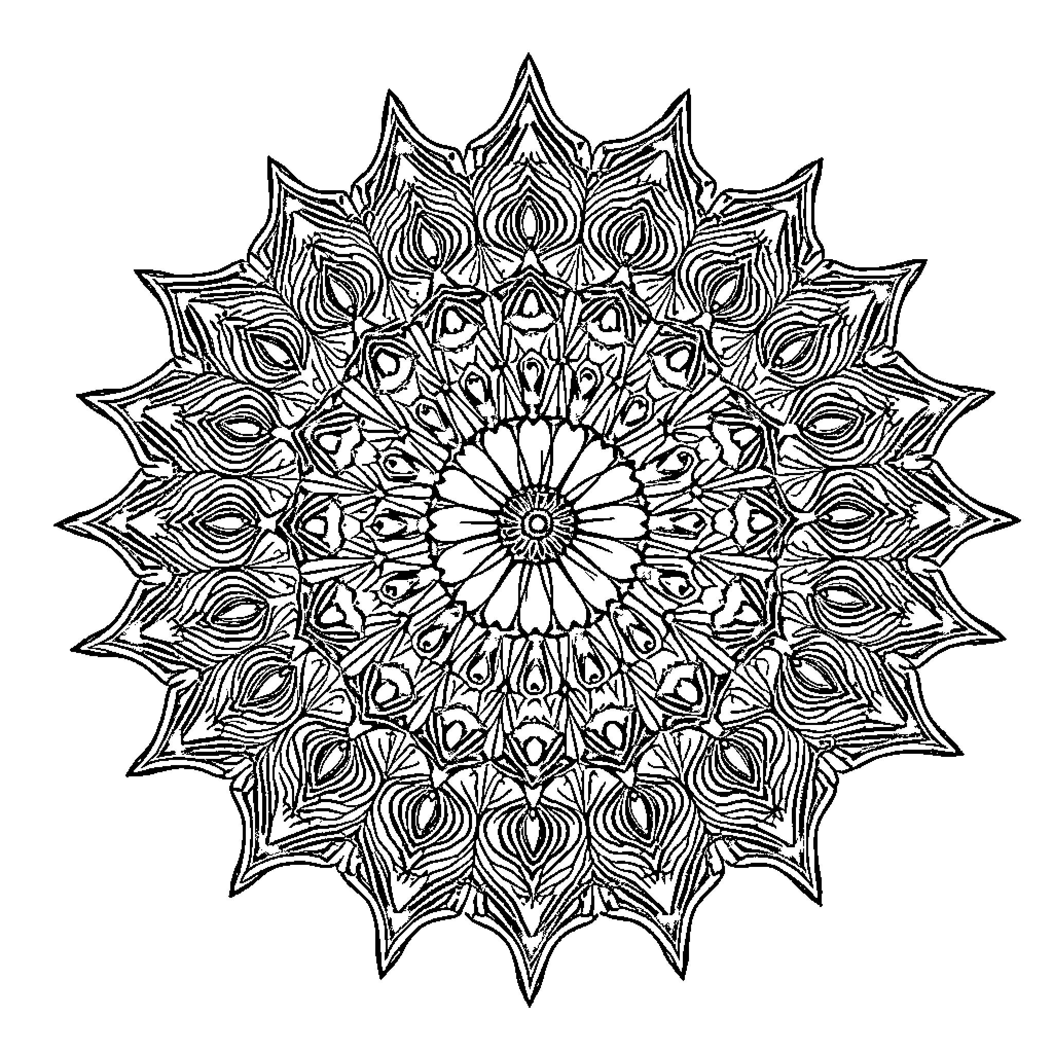 Fractal Geometric Floral Mandala Pattern Coloring Page (free black-and-white line drawing printable PDF for all, from beginners to advanced learners, including children, teens, adults, and seniors)