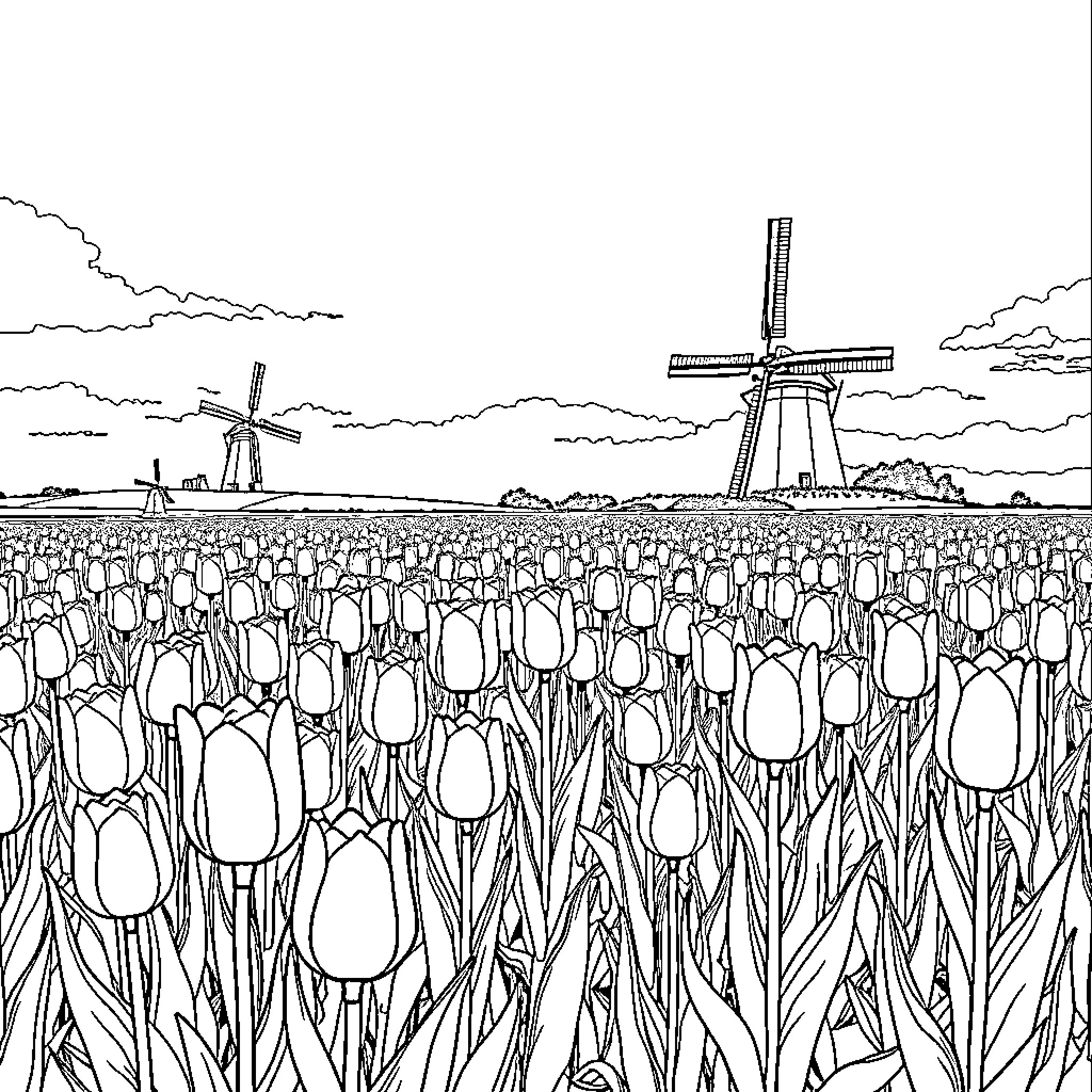 Tulip Field with Windmills Coloring Page (free black-and-white line drawing printable PDF for all, from beginners to advanced learners, including children, teens, adults, and seniors)