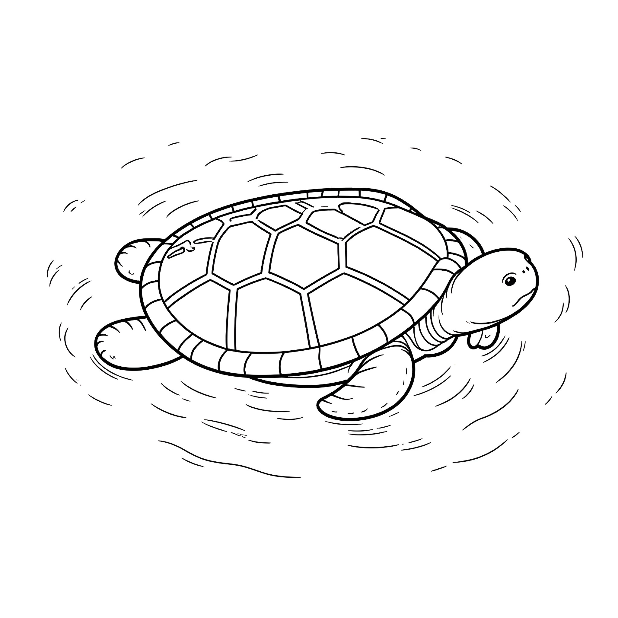 Turtle swimming in the water Coloring Page (free black-and-white line drawing printable PDF for all, from beginners to advanced learners, including children, teens, adults, and seniors)