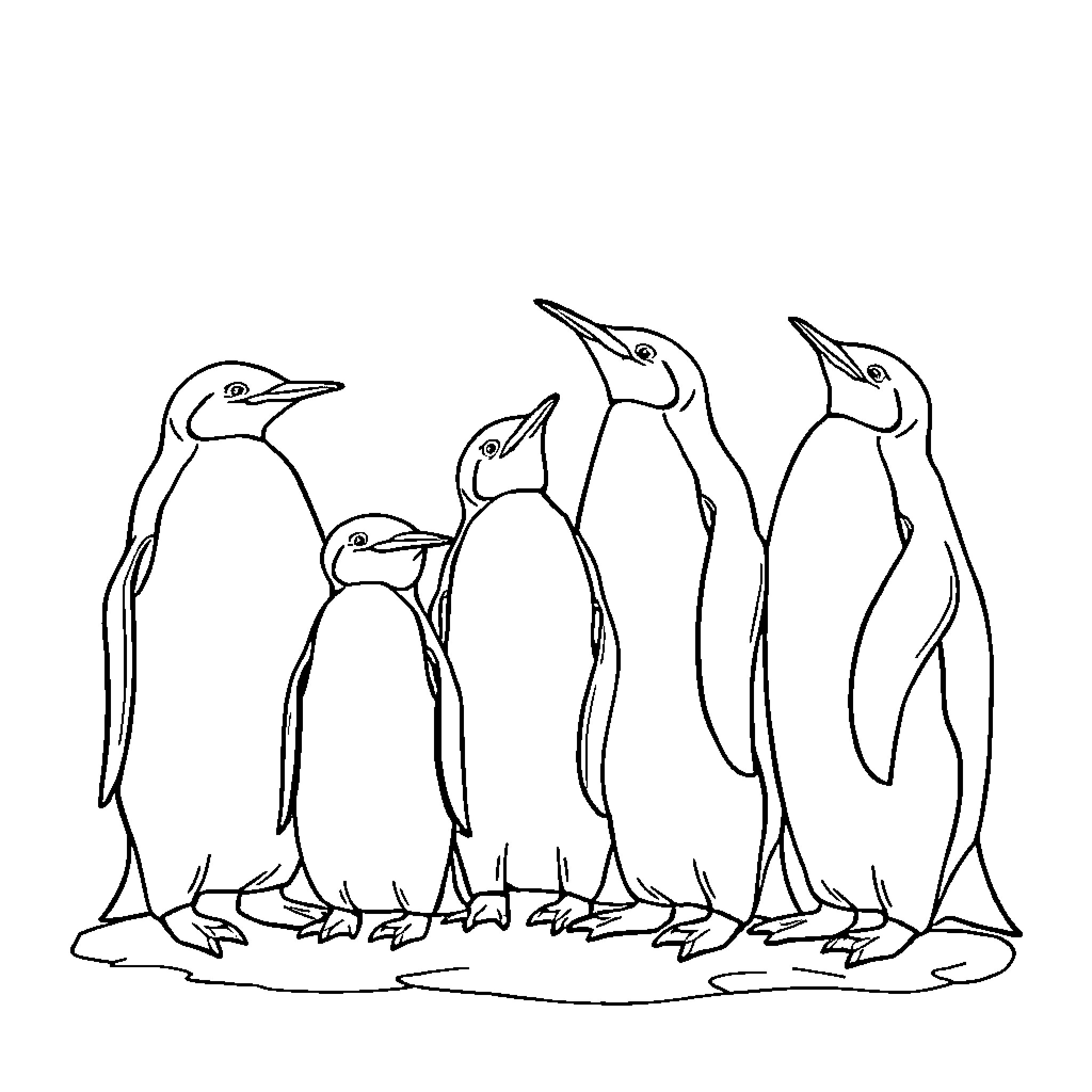 Penguins standing together in a row Coloring Page (free black-and-white line drawing printable PDF for all, from beginners to advanced learners, including children, teens, adults, and seniors)