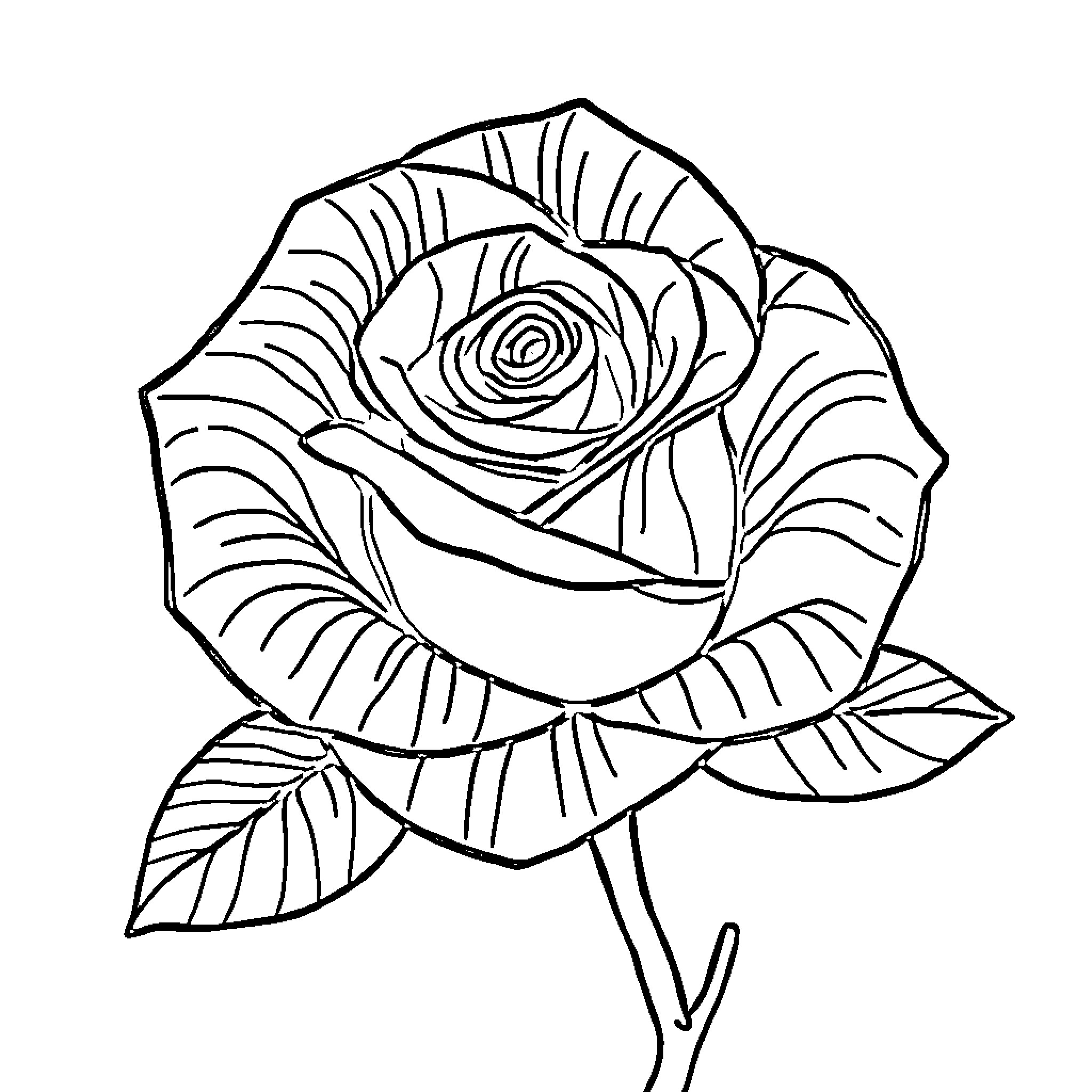 Rose in Intricate Floral Design Coloring Page (free black-and-white line drawing printable PDF for all, from beginners to advanced learners, including children, teens, adults, and seniors)