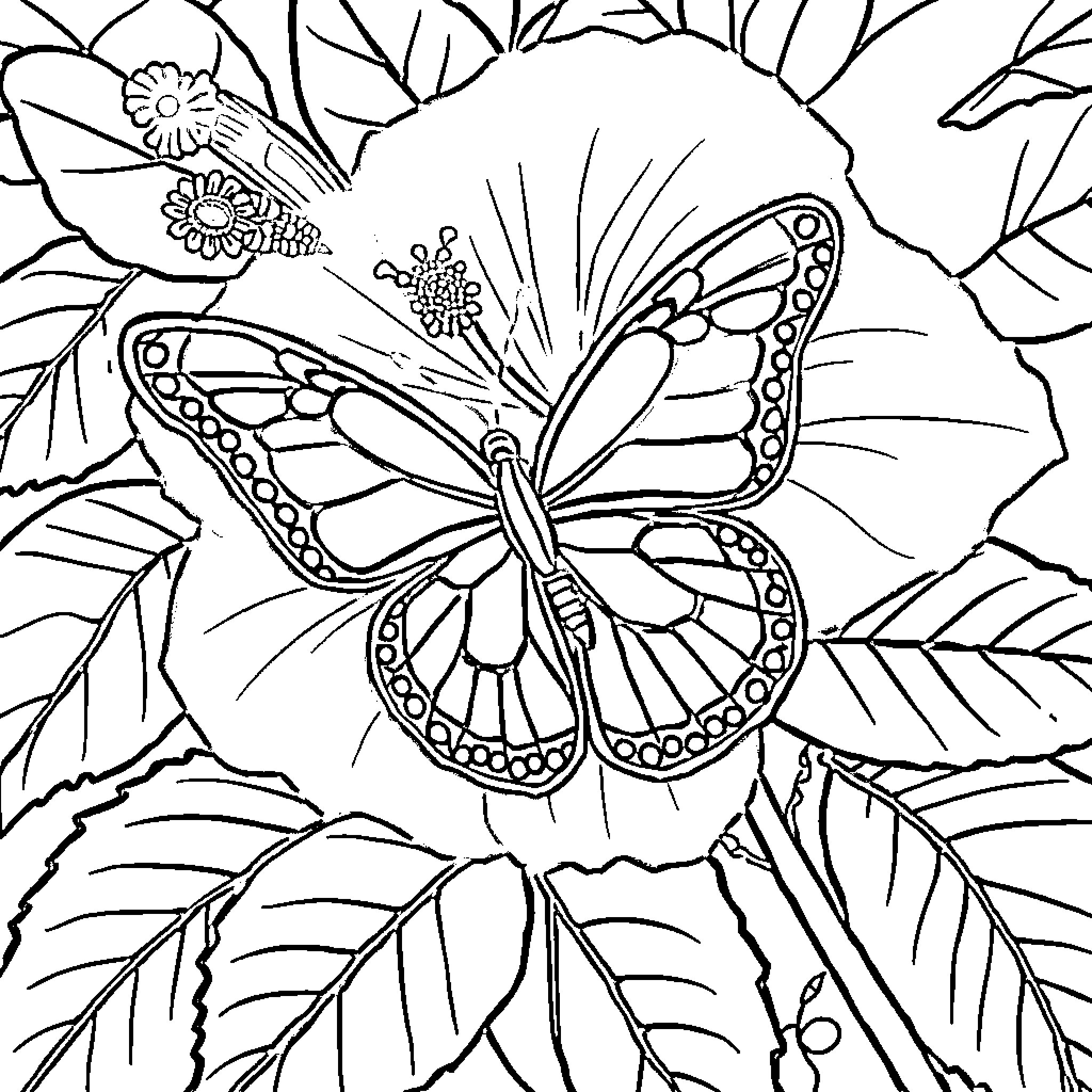 Butterfly resting on vibrant foliage Coloring Page (free black-and-white line drawing printable PDF for all, from beginners to advanced learners, including children, teens, adults, and seniors)