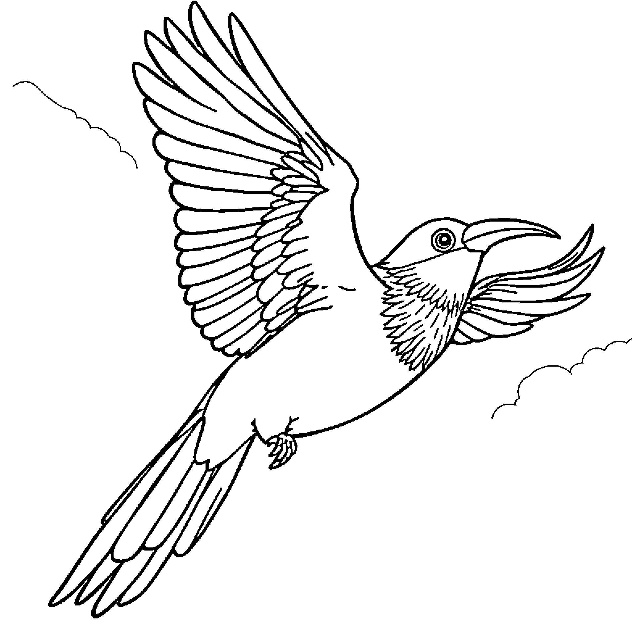Rumi's Vibrant Avian Elegance Coloring Page (free black-and-white line drawing printable PDF for all, from beginners to advanced learners, including children, teens, adults, and seniors)