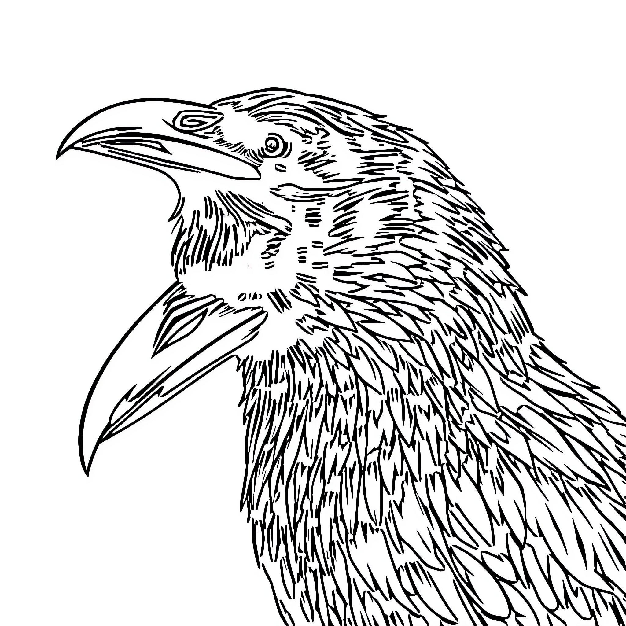 Raven with expressive features Coloring Page (free black-and-white line drawing printable PDF for all, from beginners to advanced learners, including children, teens, adults, and seniors)