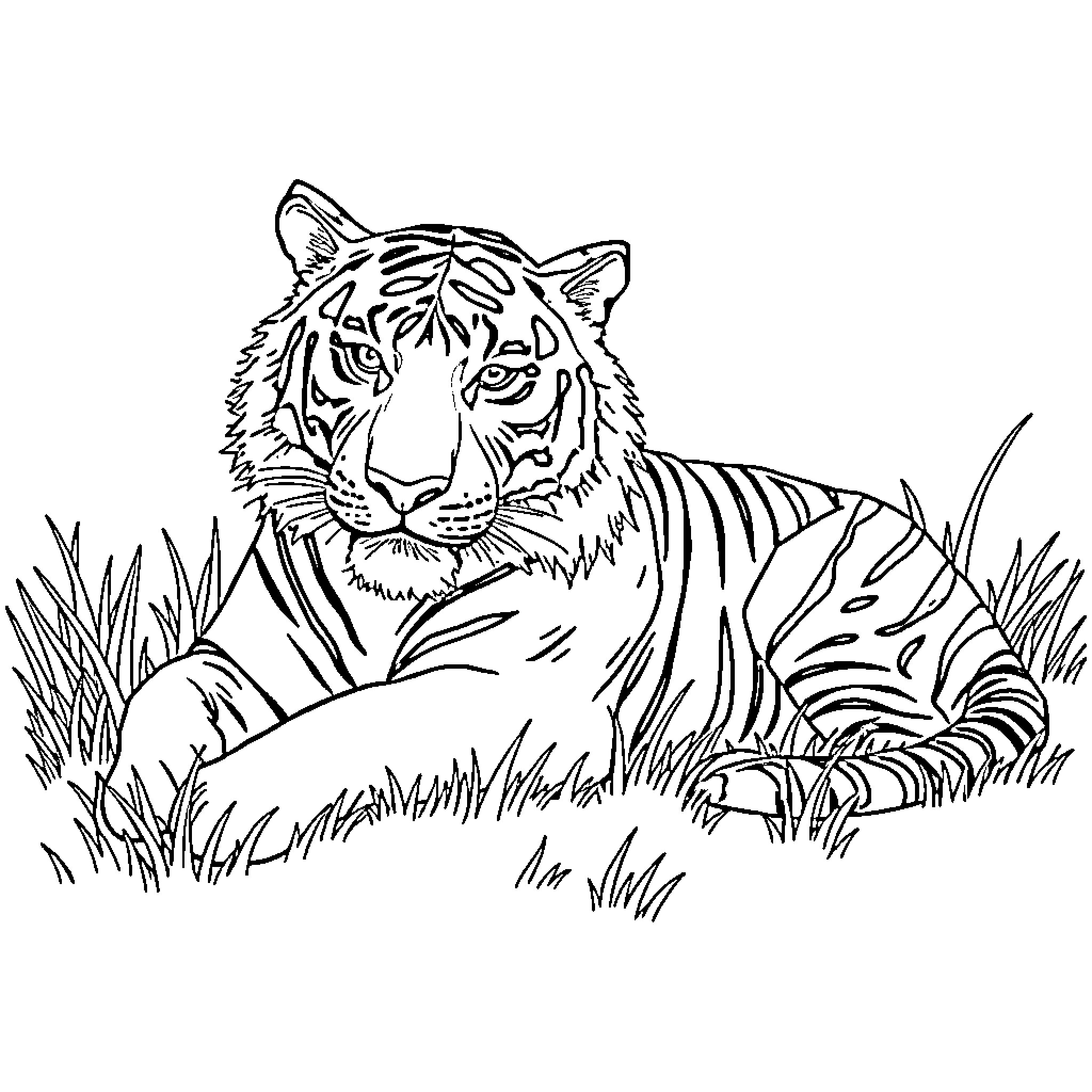 Tiger resting calmly in the wild Coloring Page (free black-and-white line drawing printable PDF for all, from beginners to advanced learners, including children, teens, adults, and seniors)