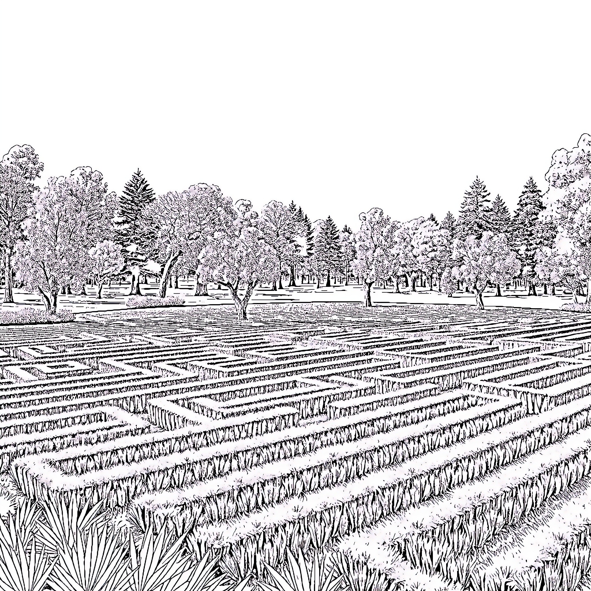 Lake view of a tranquil farmland landscape Coloring Page (free black-and-white line drawing printable PDF for all, from beginners to advanced learners, including children, teens, adults, and seniors)