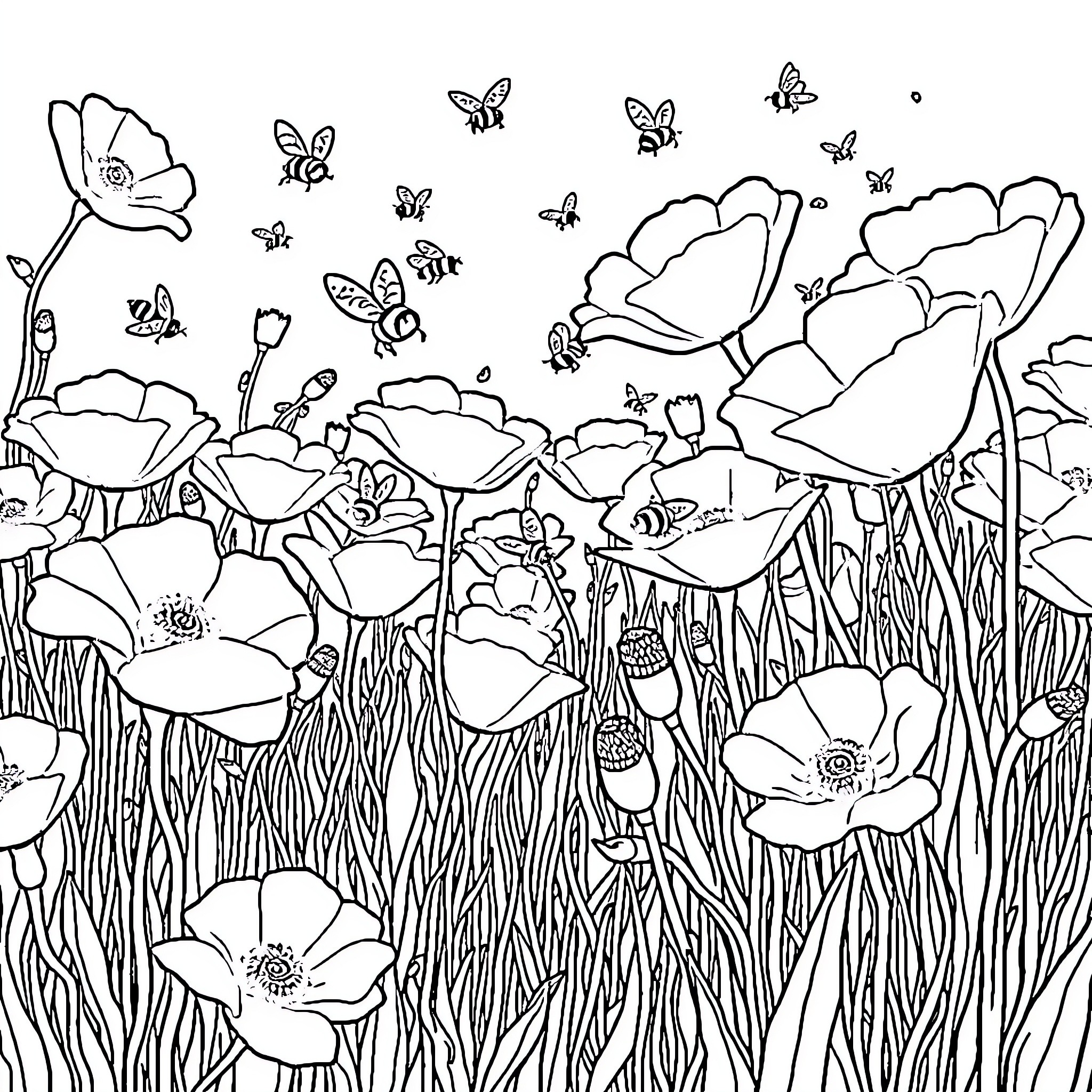 Poppy Flowers Dancing with Butterflies in the Meadow Coloring Page (free black-and-white line drawing printable PDF for all, from beginners to advanced learners, including children, teens, adults, and seniors)