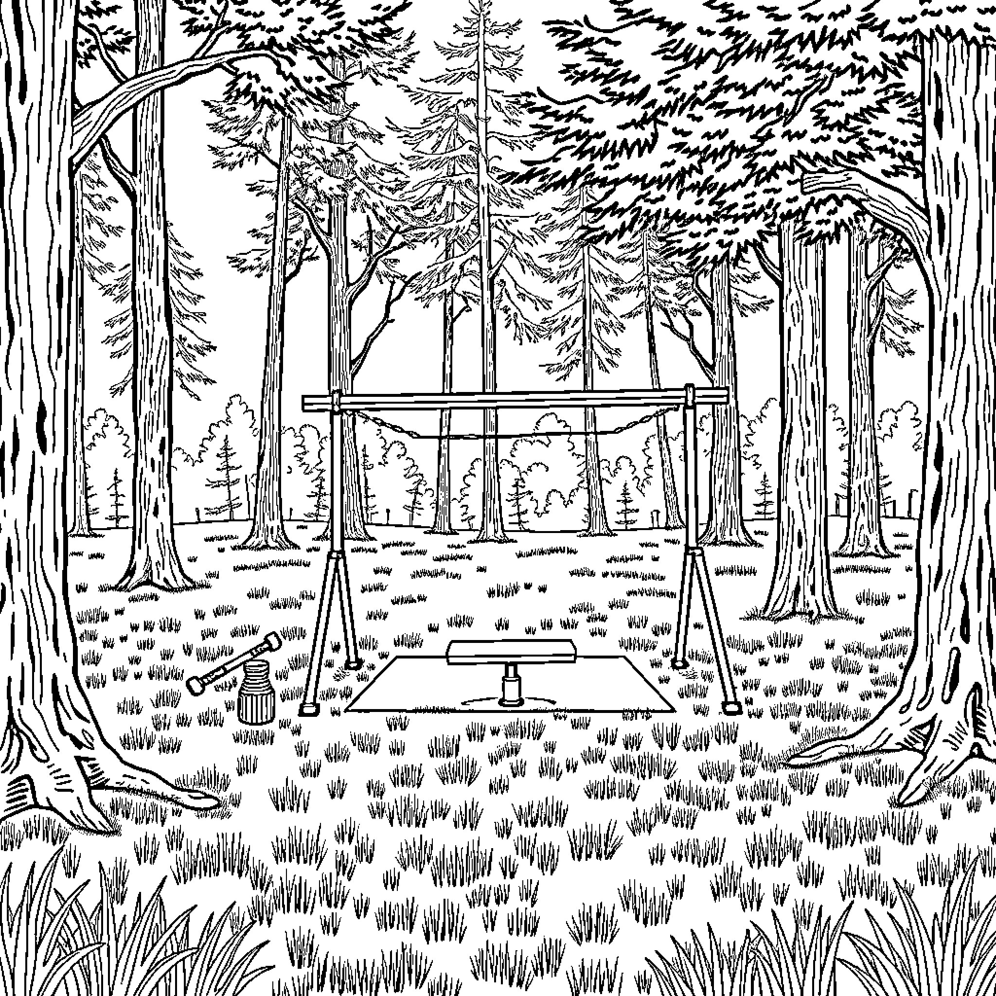 Gym equipment in a serene forest setting Coloring Page (free black-and-white line drawing printable PDF for all, from beginners to advanced learners, including children, teens, adults, and seniors)