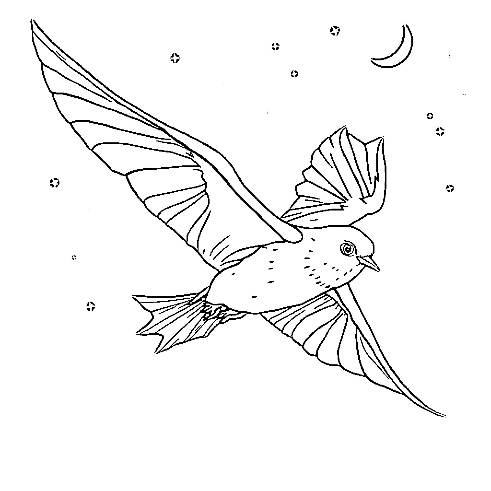 Bat flying gracefully in the night sky Coloring Page (free black-and-white line drawing printable PDF for all, from beginners to advanced learners, including children, teens, adults, and seniors)