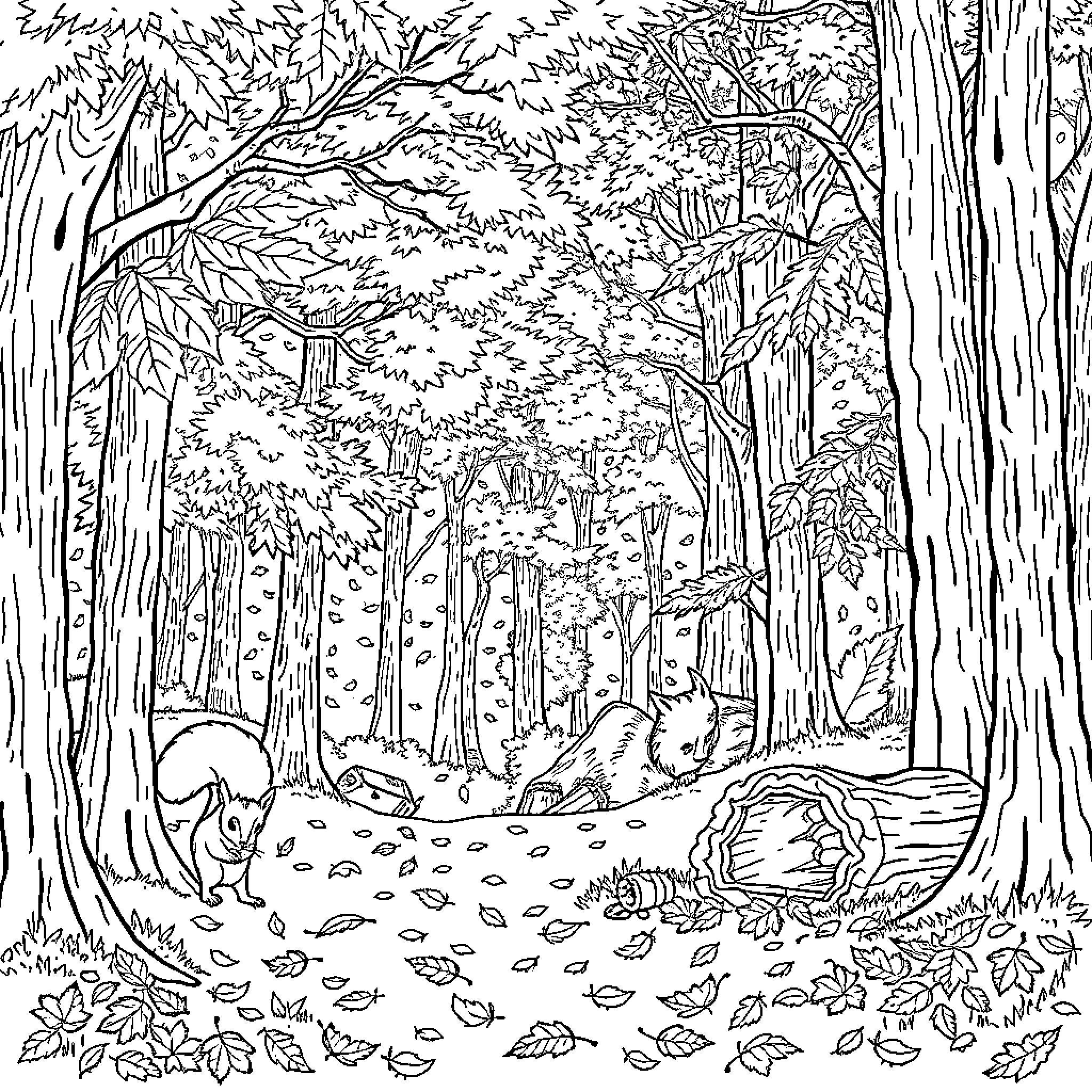 Autumn Forest Tranquility Coloring Page (free black-and-white line drawing printable PDF for all, from beginners to advanced learners, including children, teens, adults, and seniors)