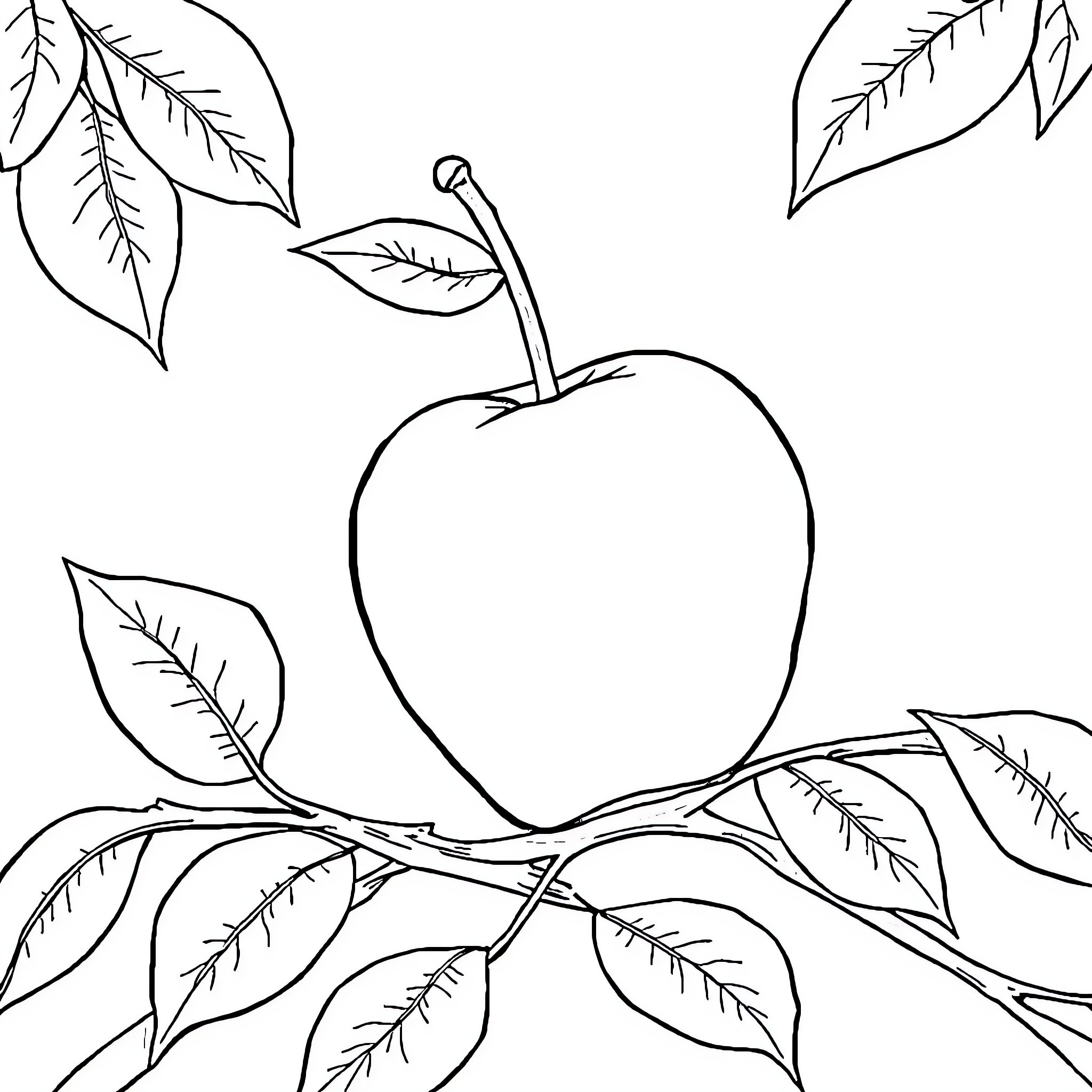 Apple and Pear branch with leaves Coloring Page (free black-and-white line drawing printable PDF for all, from beginners to advanced learners, including children, teens, adults, and seniors)
