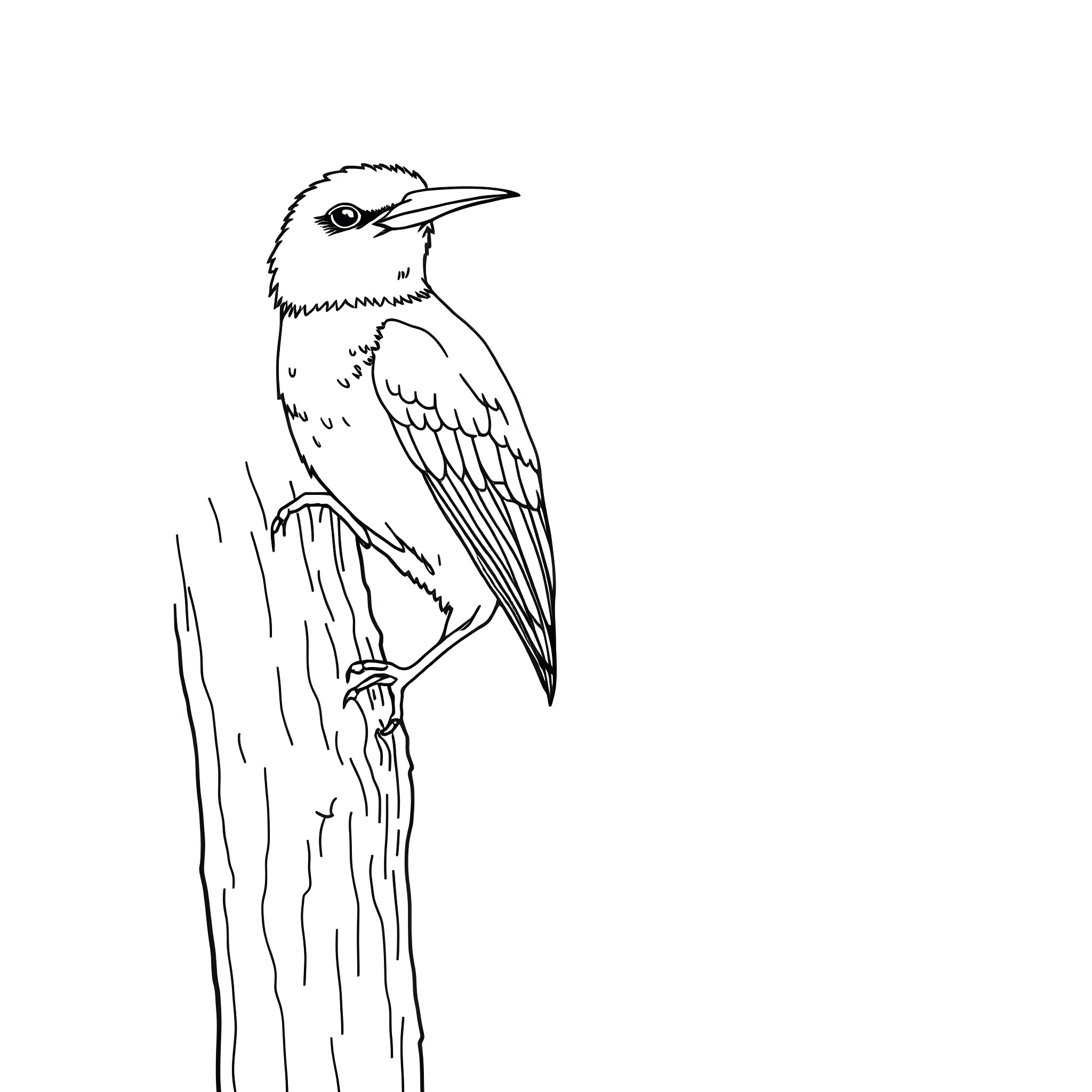 Dacnis bird perched on tree branch Coloring Page (free black-and-white line drawing printable PDF for all, from beginners to advanced learners, including children, teens, adults, and seniors)