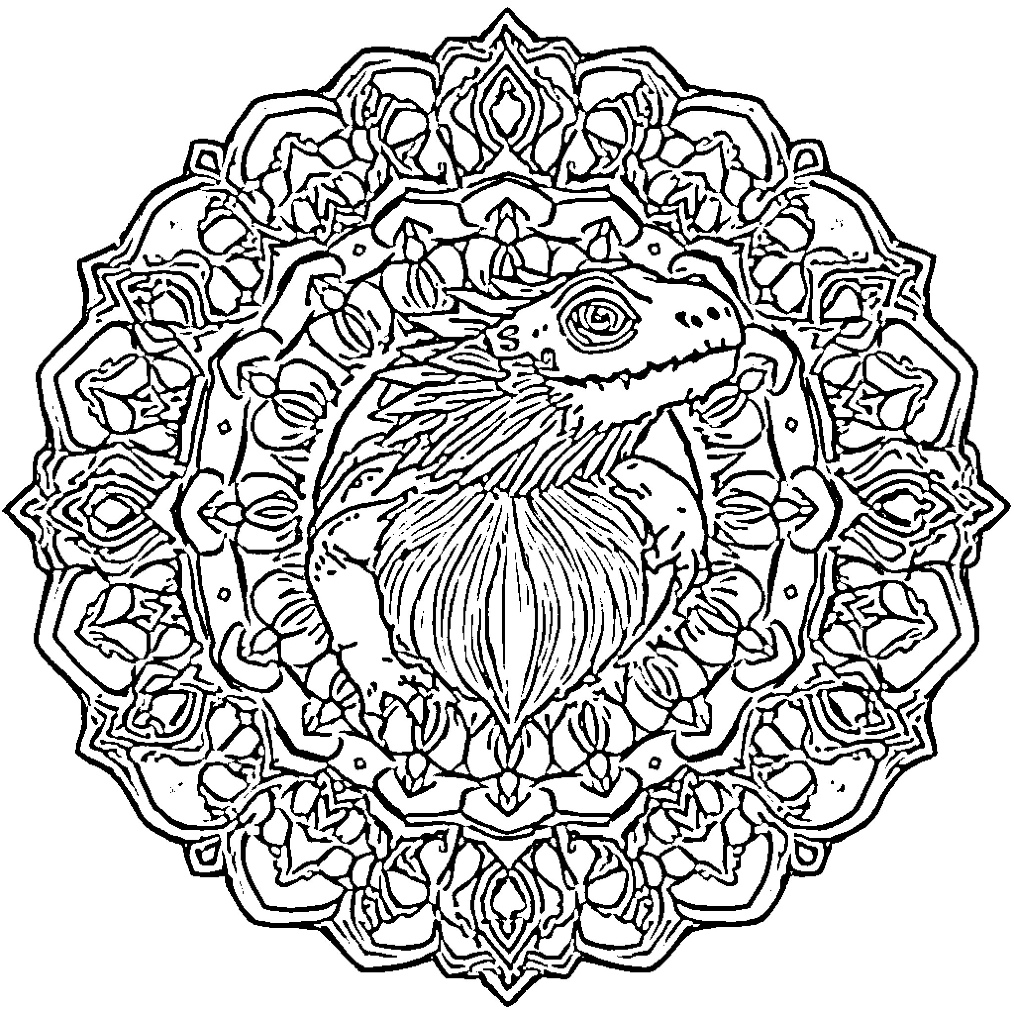 Bearded Dragon surrounded by intricate floral patterns Coloring Page (free black-and-white line drawing printable PDF for all, from beginners to advanced learners, including children, teens, adults, and seniors)