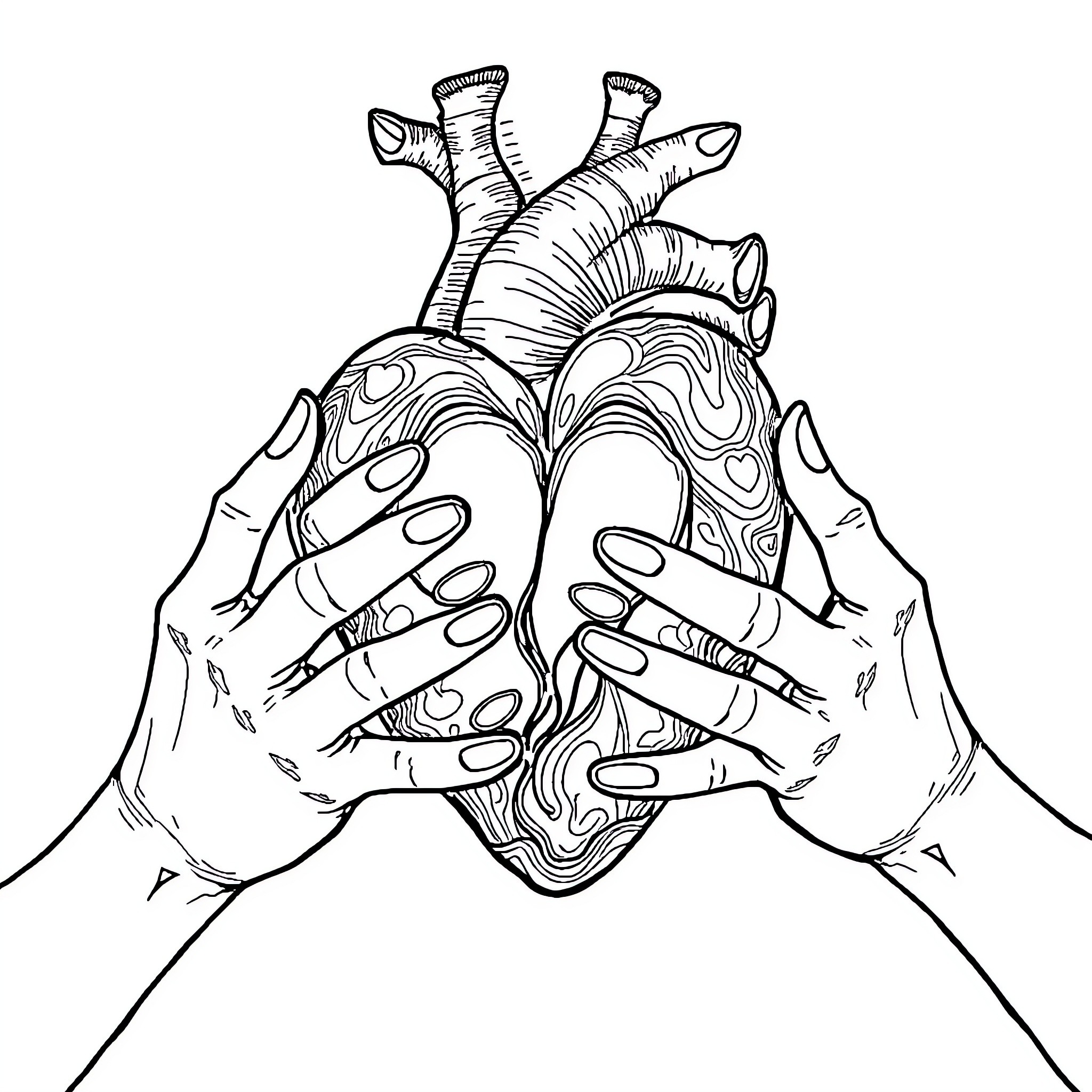 Heart Held Tenderly in Hands Coloring Page (free black-and-white line drawing printable PDF for all, from beginners to advanced learners, including children, teens, adults, and seniors)