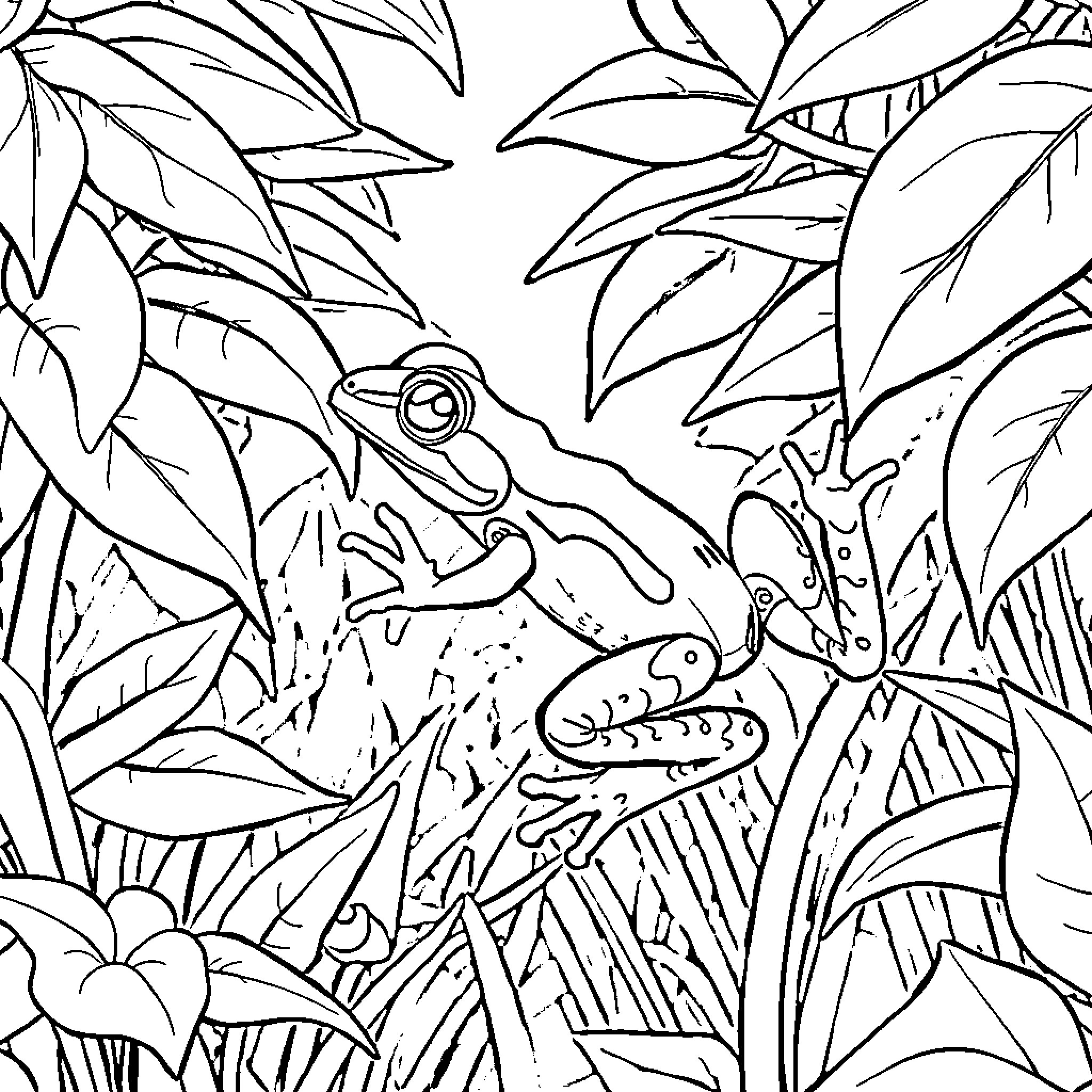 Coqui Frogs Exploring Lush Foliage Coloring Page (free black-and-white line drawing printable PDF for all, from beginners to advanced learners, including children, teens, adults, and seniors)